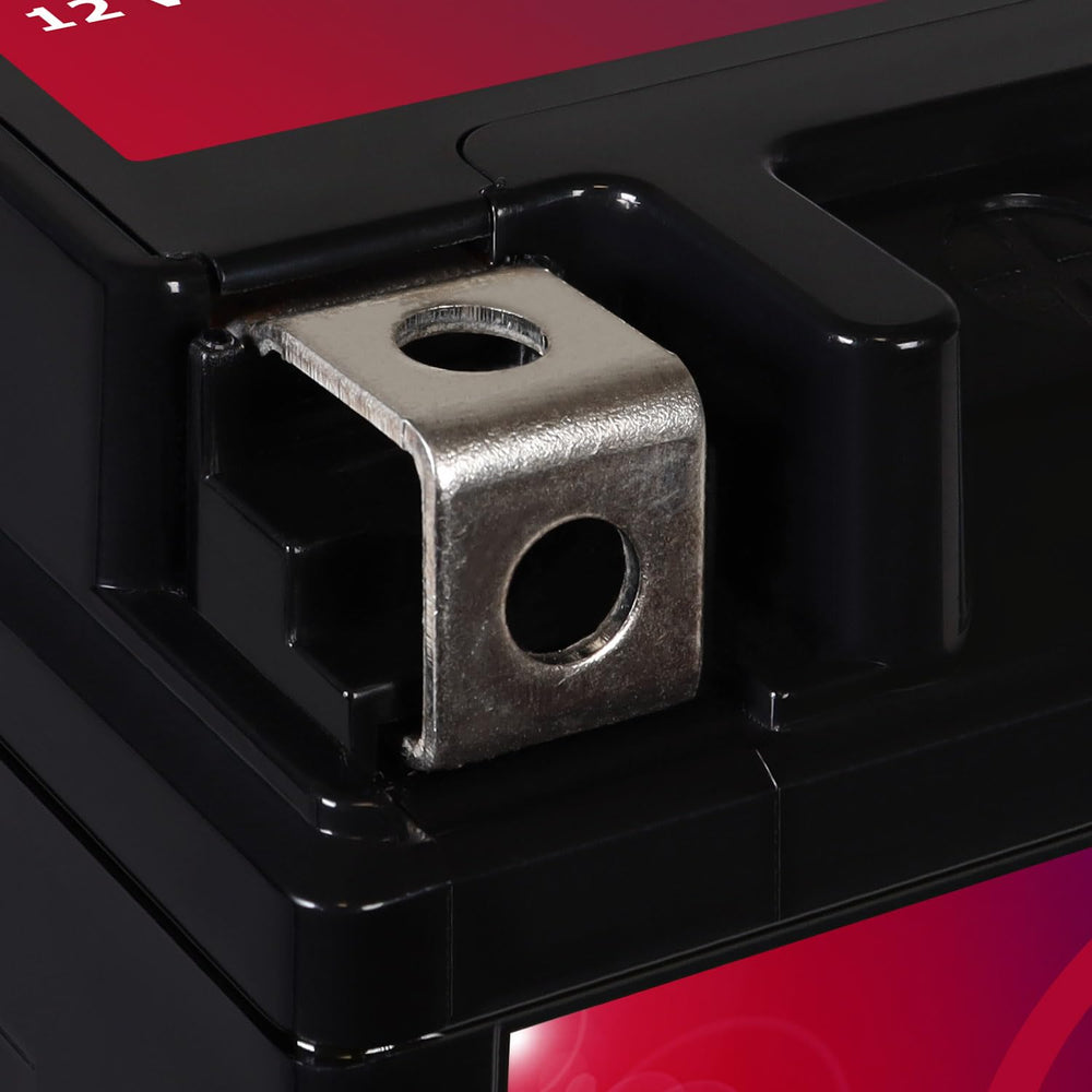 Mighty Max Battery YTZ14S embalaje con tornillos incluidos listo para instalación rápida