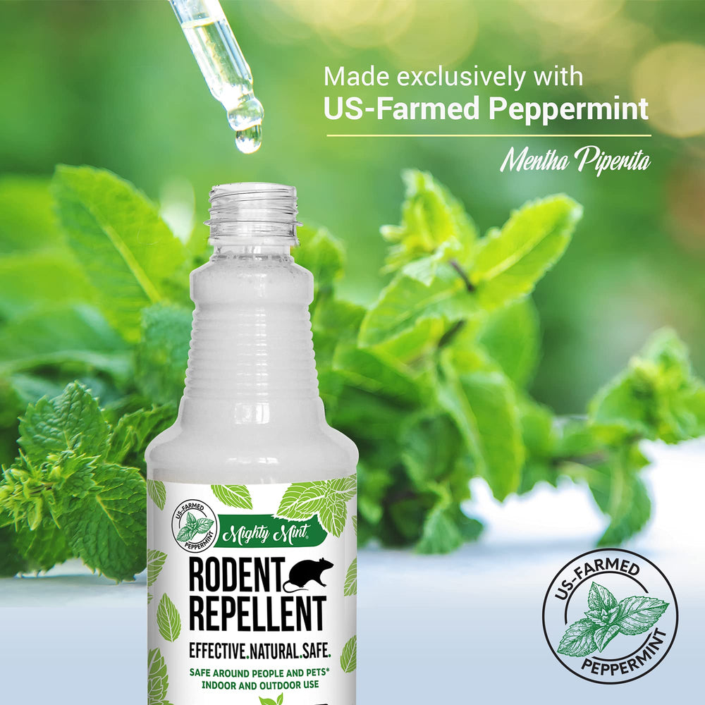 Mighty Mint comparación de tamaño en manos para referencia de 16 oz