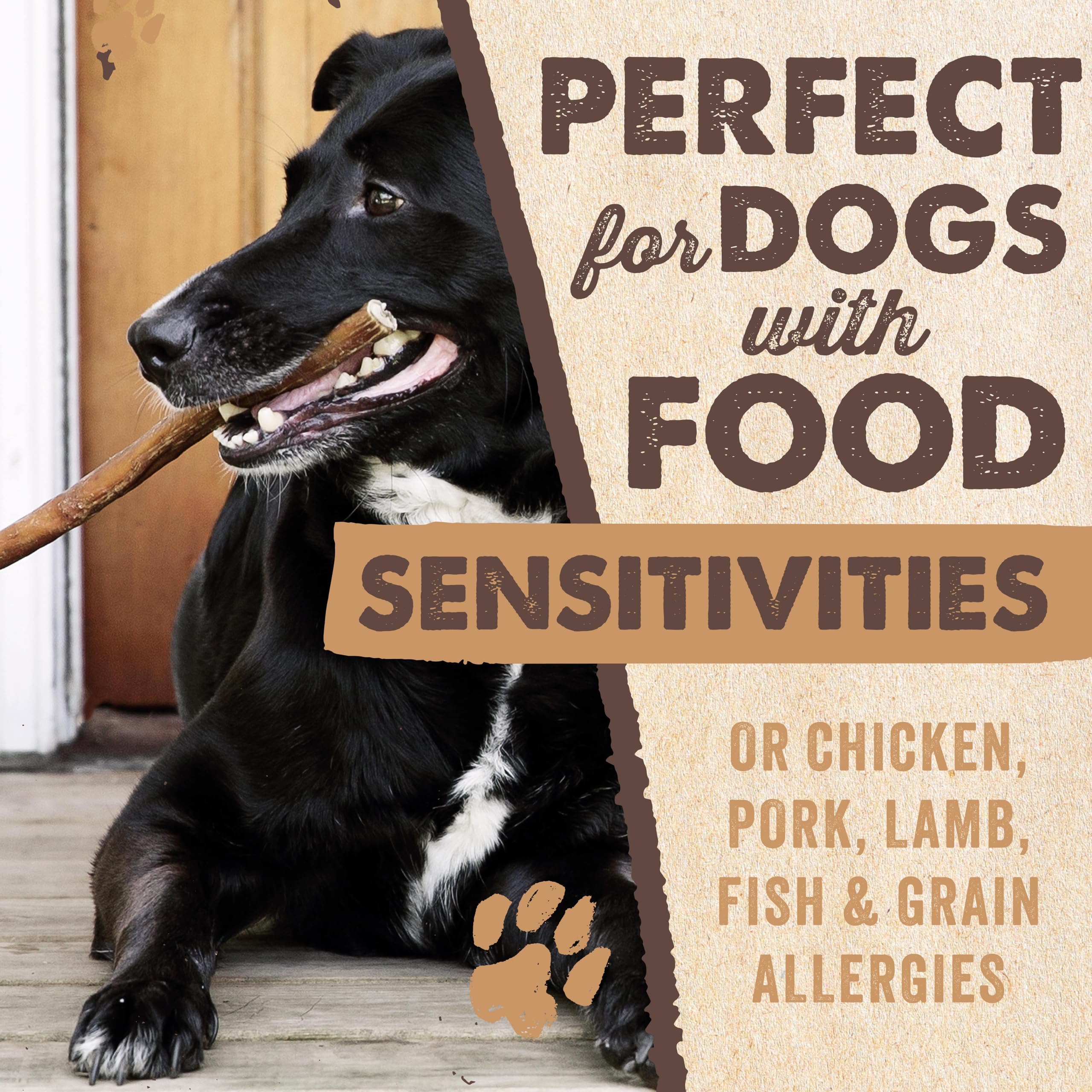 Mighty Paw manos sosteniendo bully stick para comparar escala con humano
