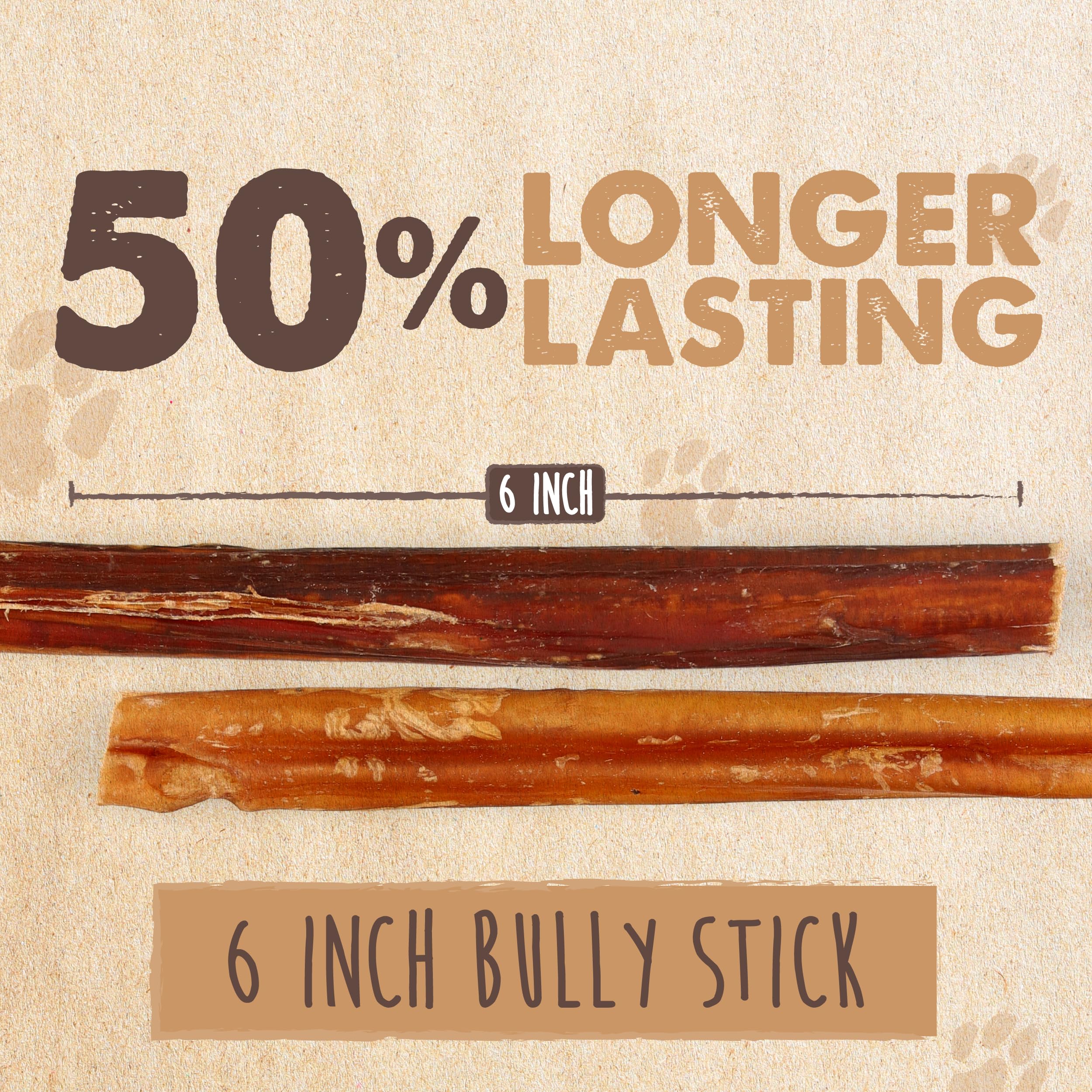 Mighty Paw perro masticando bully stick para entretenimiento saludable