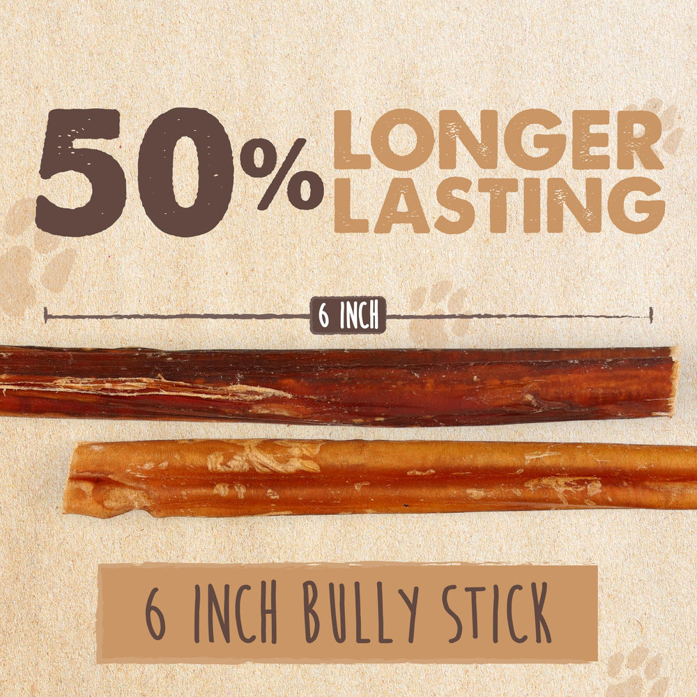 Mighty Paw perro masticando bully stick para entretenimiento saludable