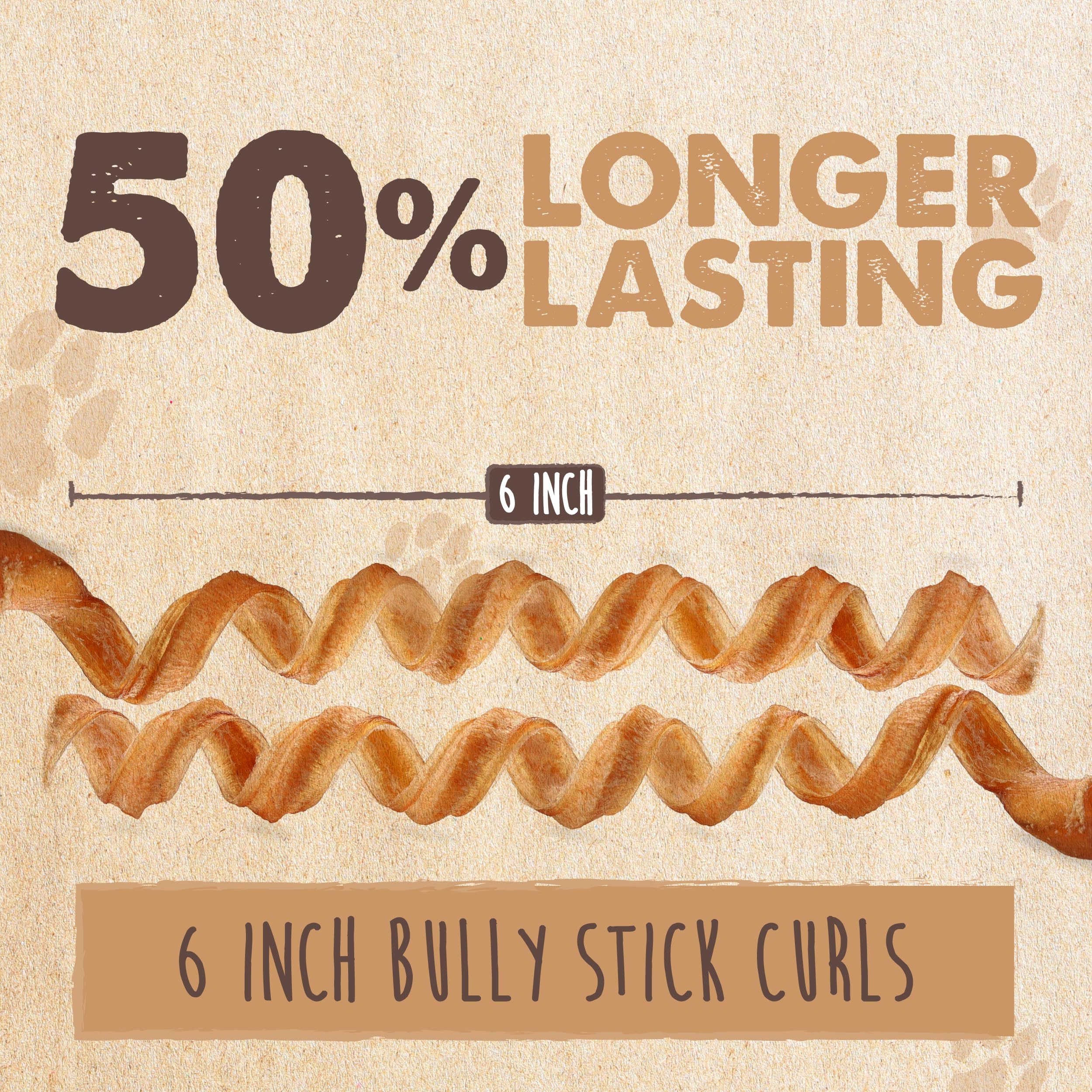 Mighty Paw perro masticando el bully stick para entretenimiento seguro