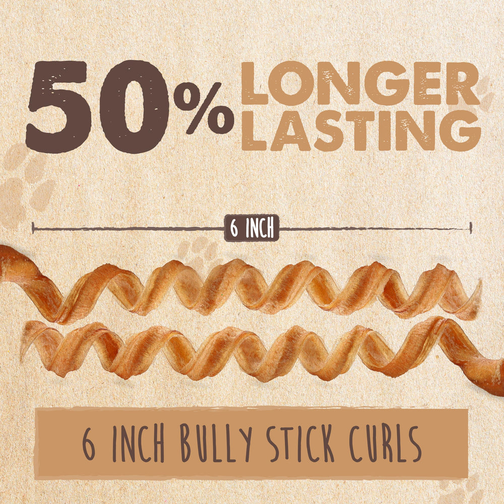 Mighty Paw perro masticando el bully stick para entretenimiento seguro