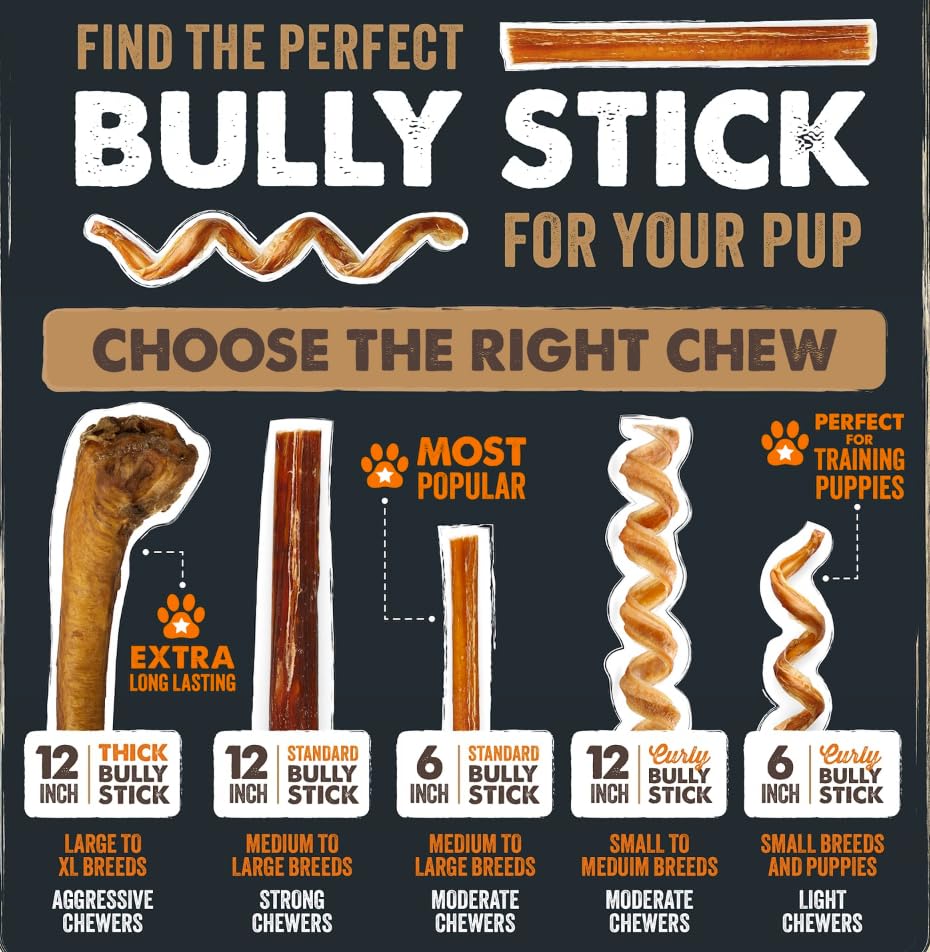 Perro disfrutando un Mighty Paw bully stick para masticación prolongada