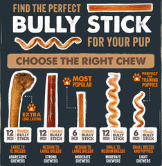 Perro disfrutando un Mighty Paw bully stick para masticación prolongada