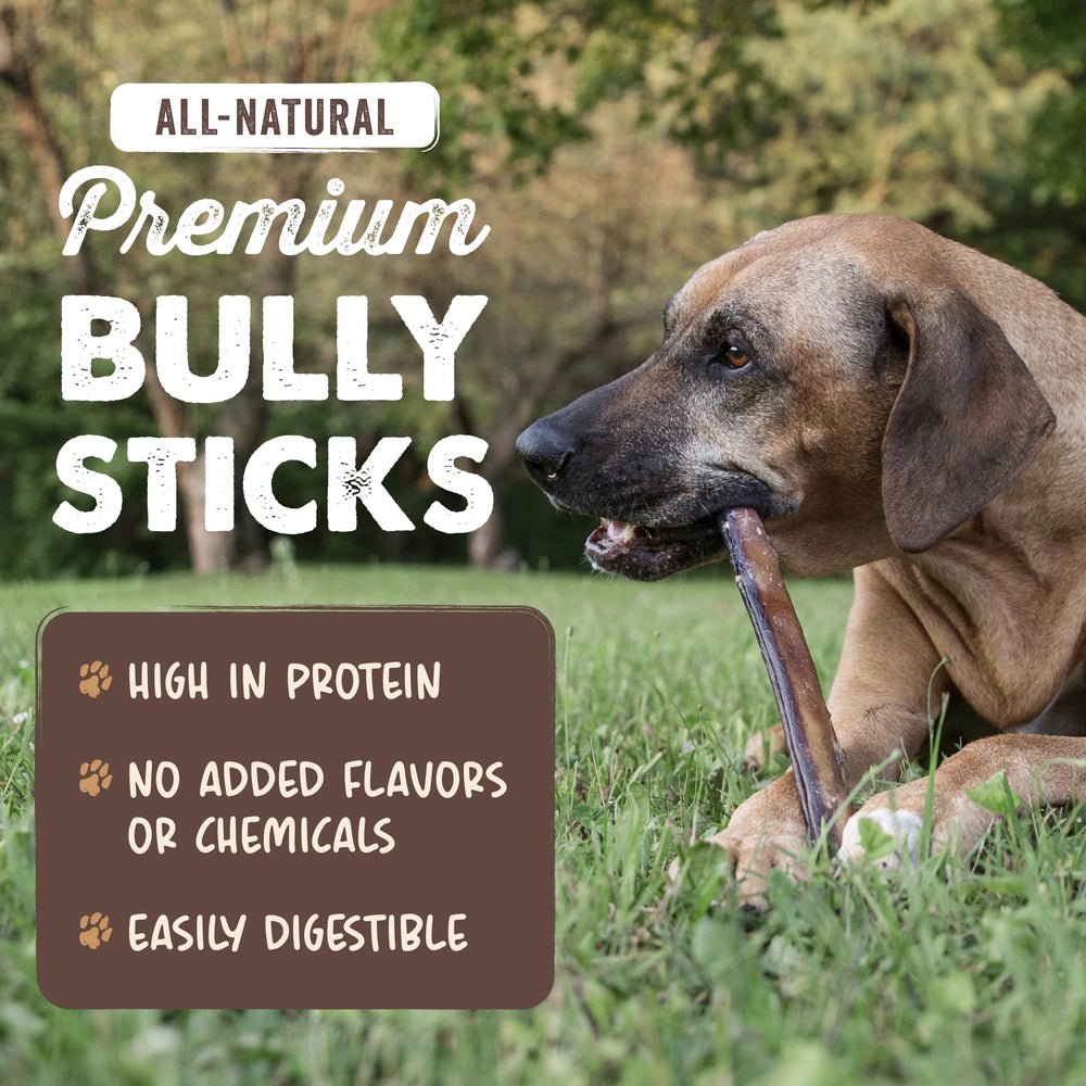 Mighty Paw textura cercana del bully stick que muestra firmeza duradera