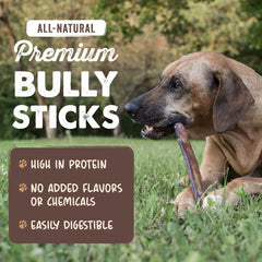 Mighty Paw textura cercana del bully stick que muestra firmeza duradera