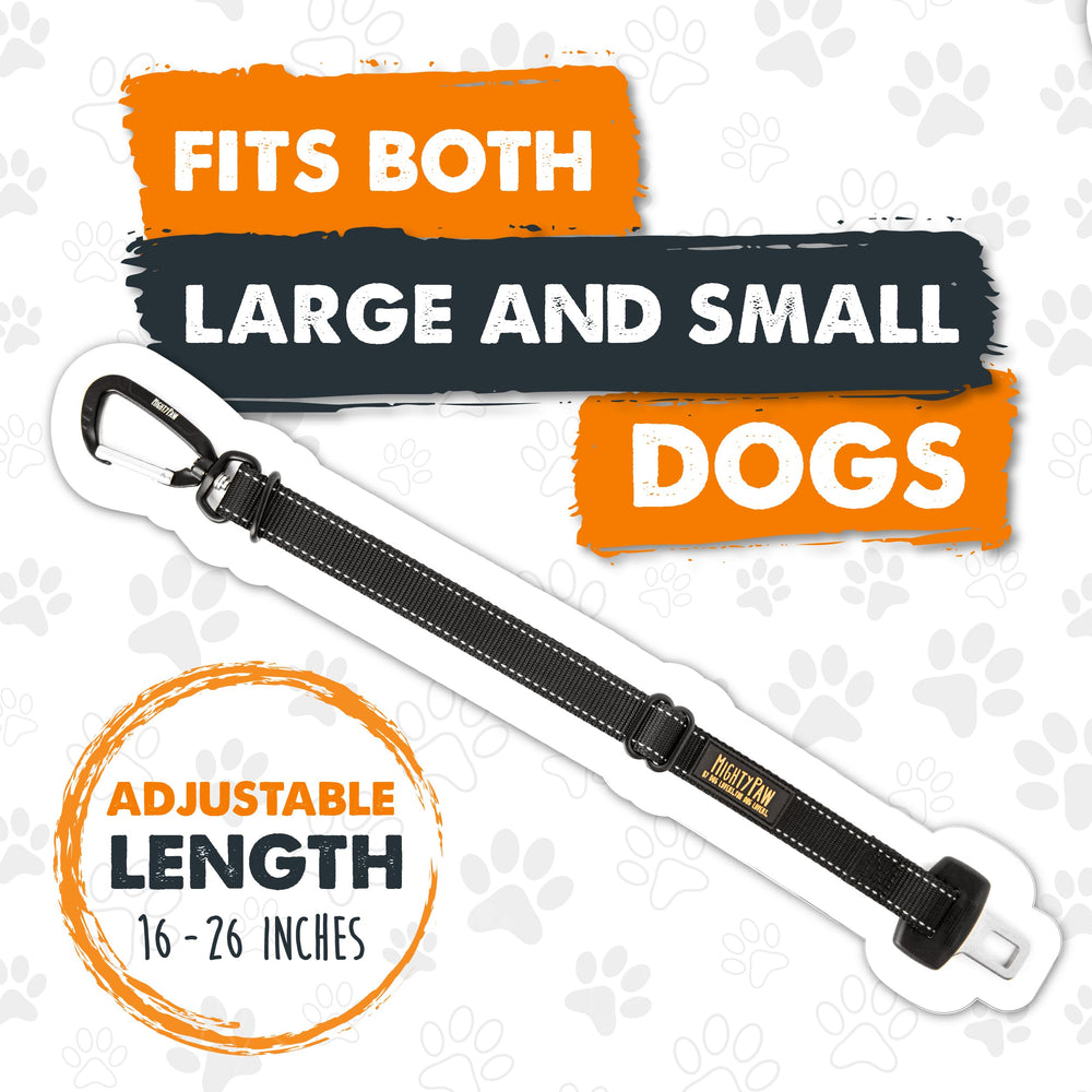 Mighty Paw familia en coche usando cinturón para perro, viaje seguro