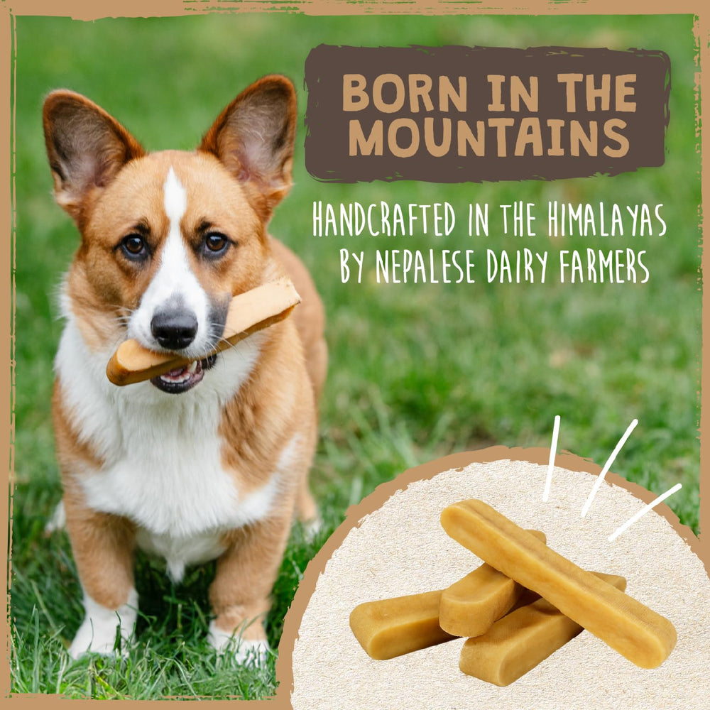 Mighty Paw four-pack layout showing quantity and presentation