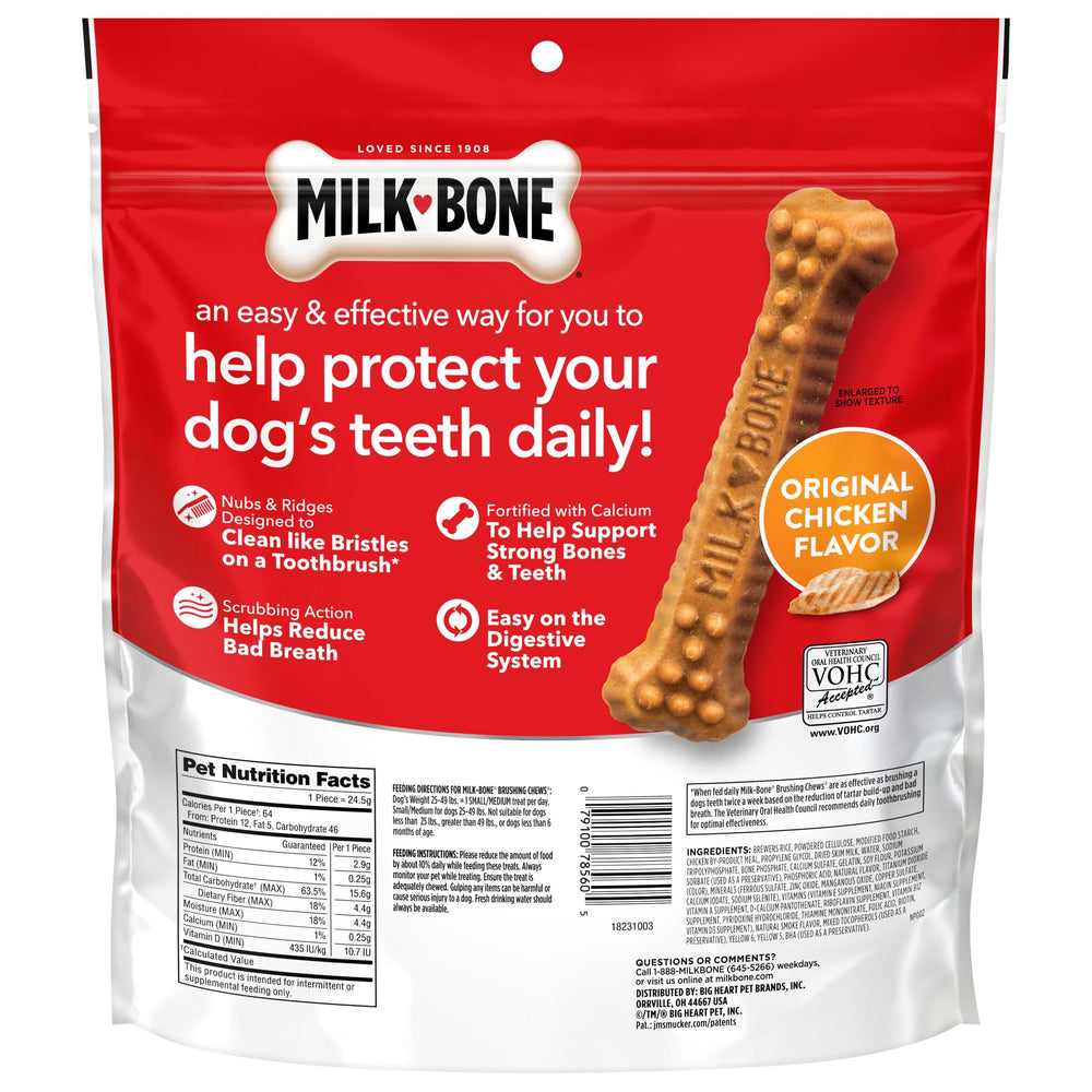 Milk-Bone estilo de vida: dueño y perro compartiendo cercanía