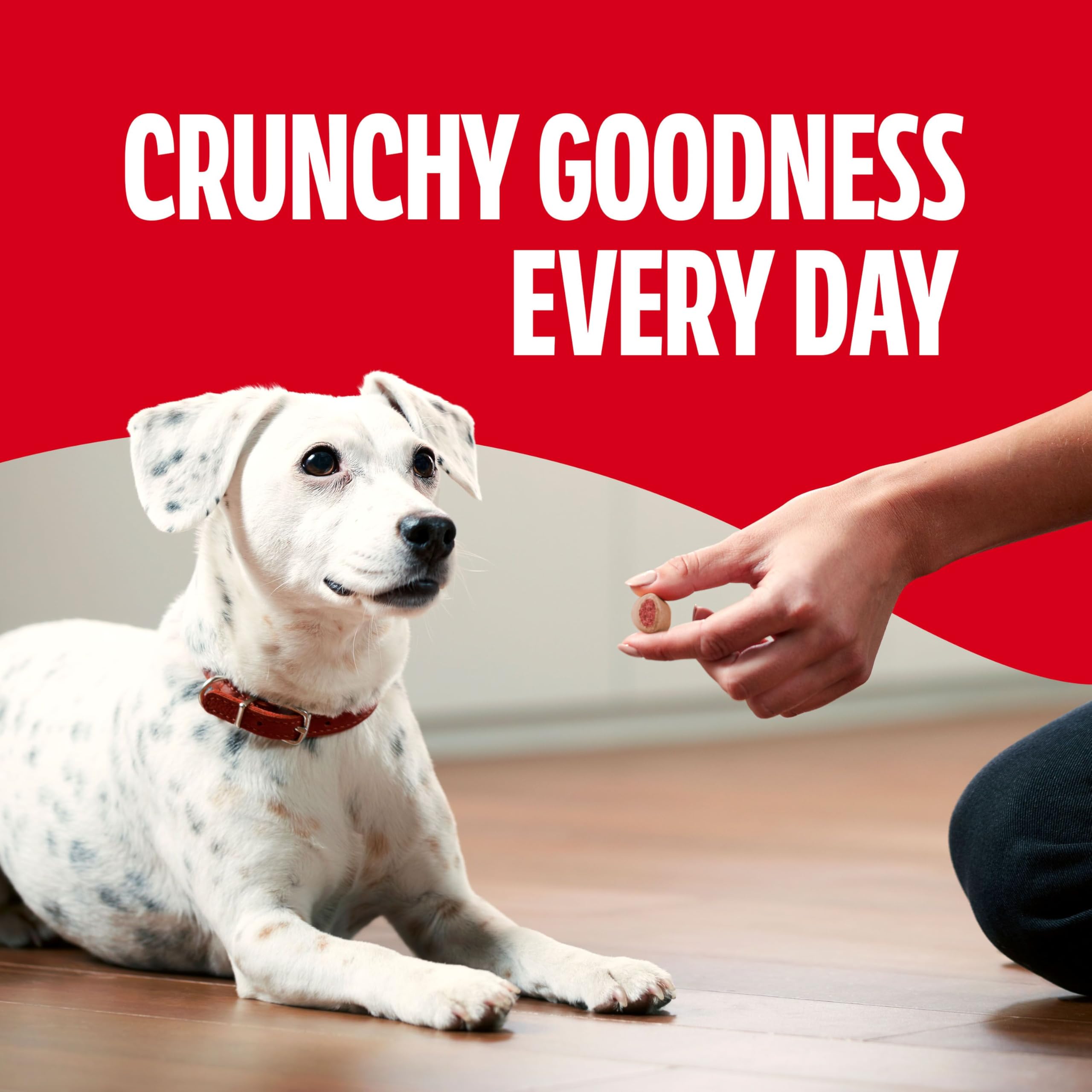 Milk-Bone dog enjoying treat in home illustrating enjoyment benefit