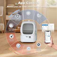 Mintakawa pantalla de app y panel de control demostrando conectividad y datos