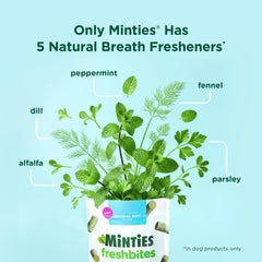 Minties etiqueta con ingredientes naturales, beneficio: transparencia sobre componentes