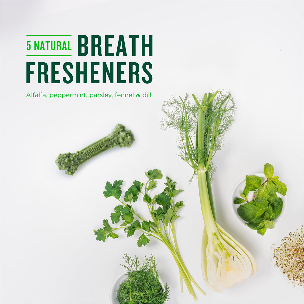 Minties comparación de tamaño con una mano para elegir la porción adecuada