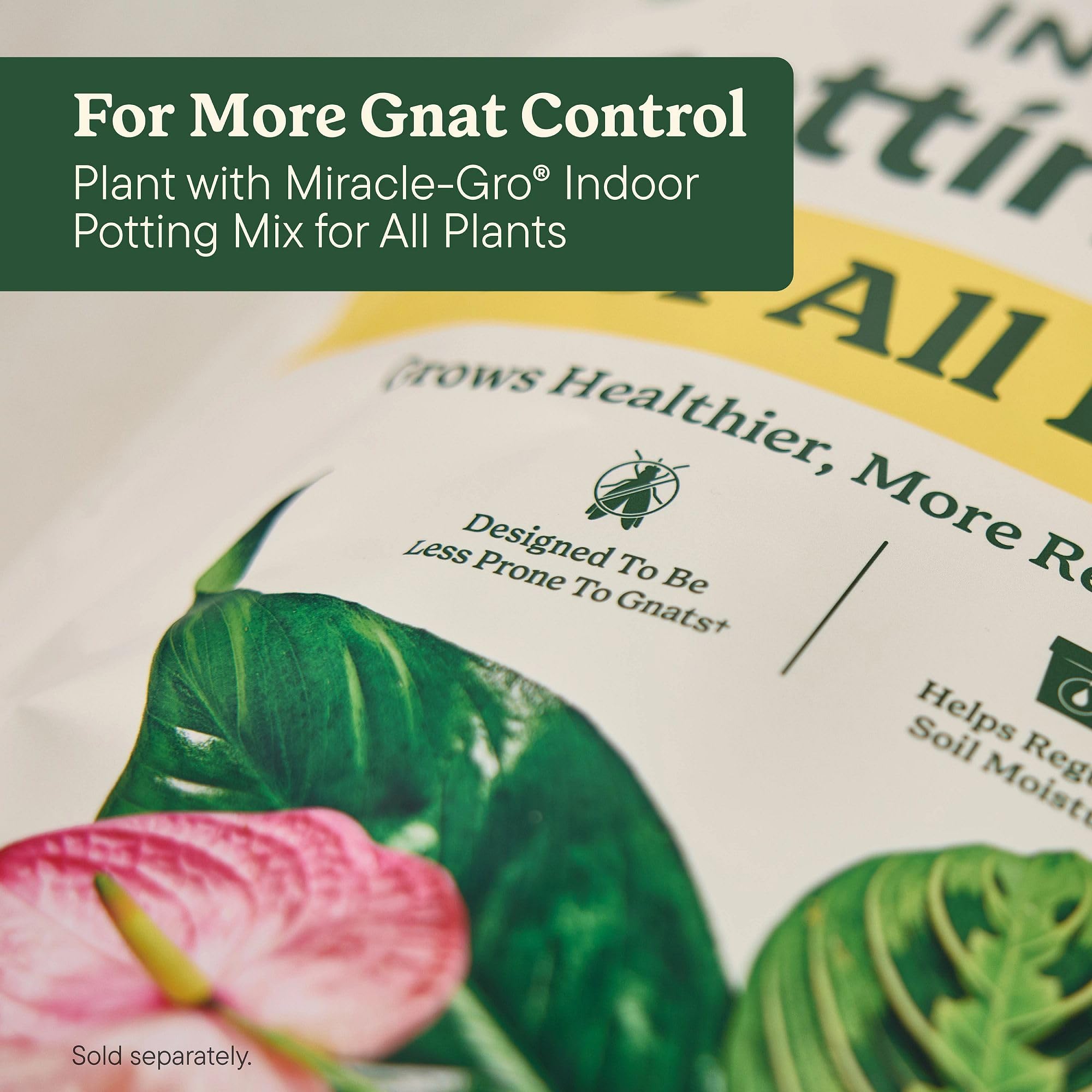 Miracle-Gro en sala con plantas mostrando aspecto natural cuidado