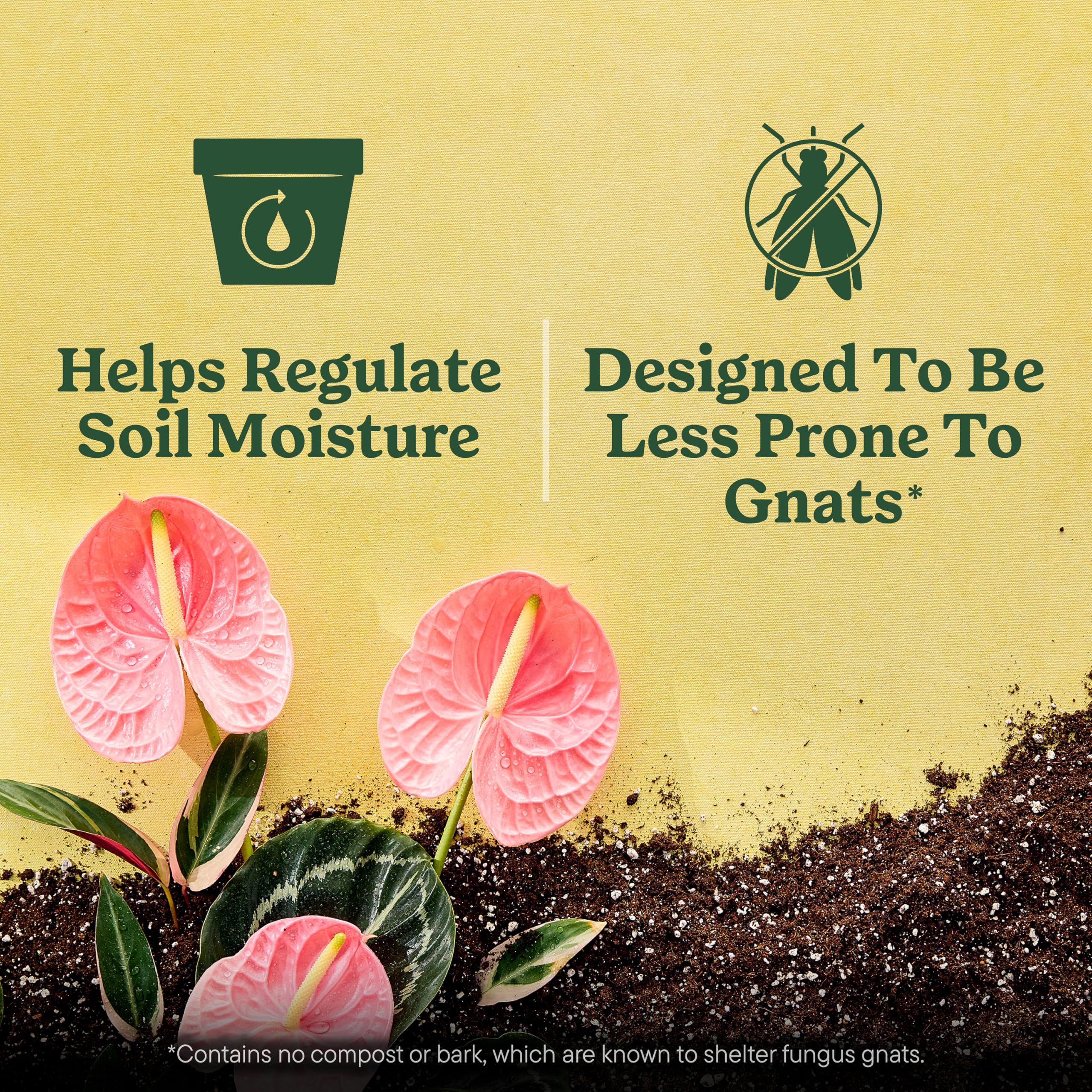 Miracle-Gro en ambiente de salón con varias plantas, mejora el aspecto del hogar