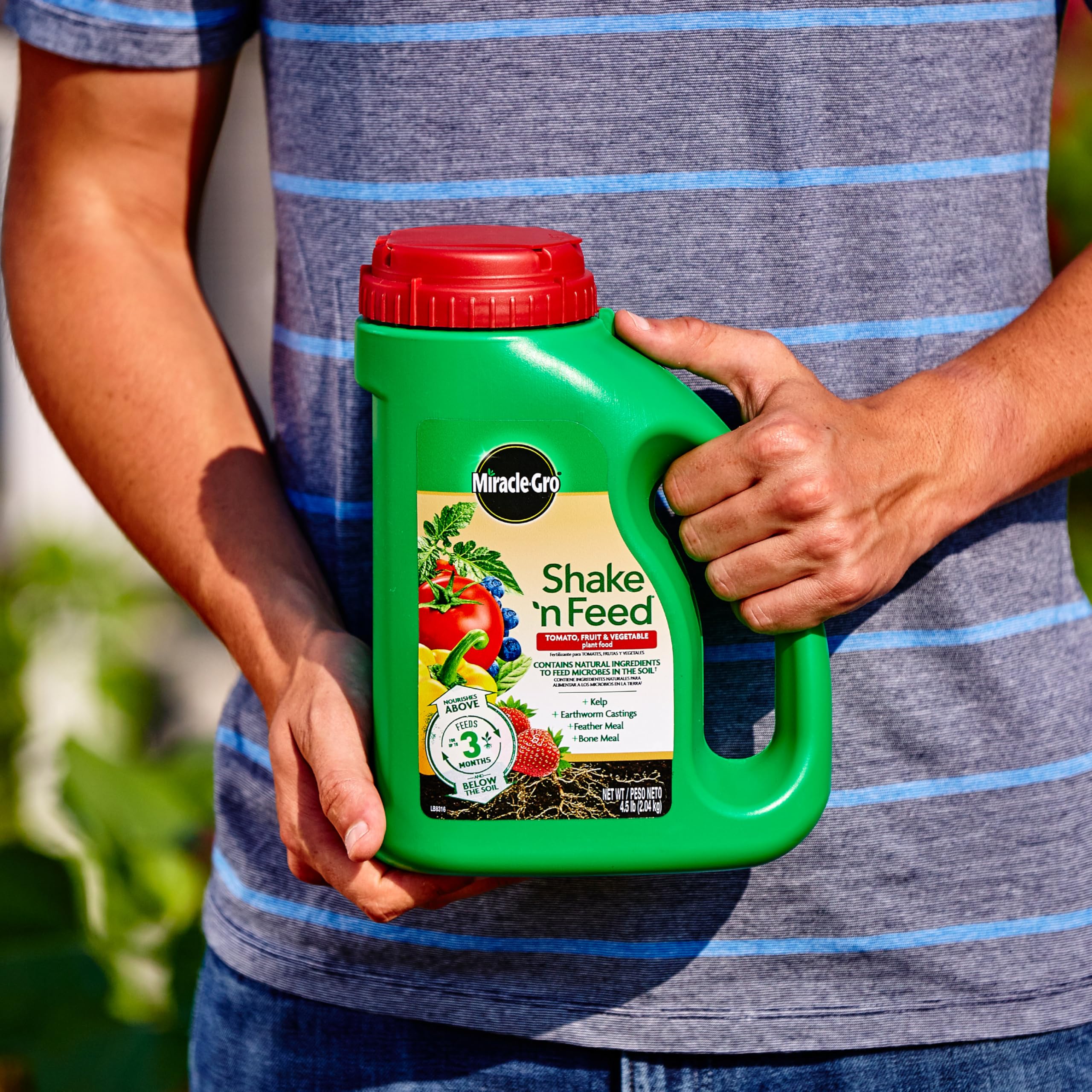 Miracle-Gro en maceta siendo espolvoreado, facilita nutrición prolongada
