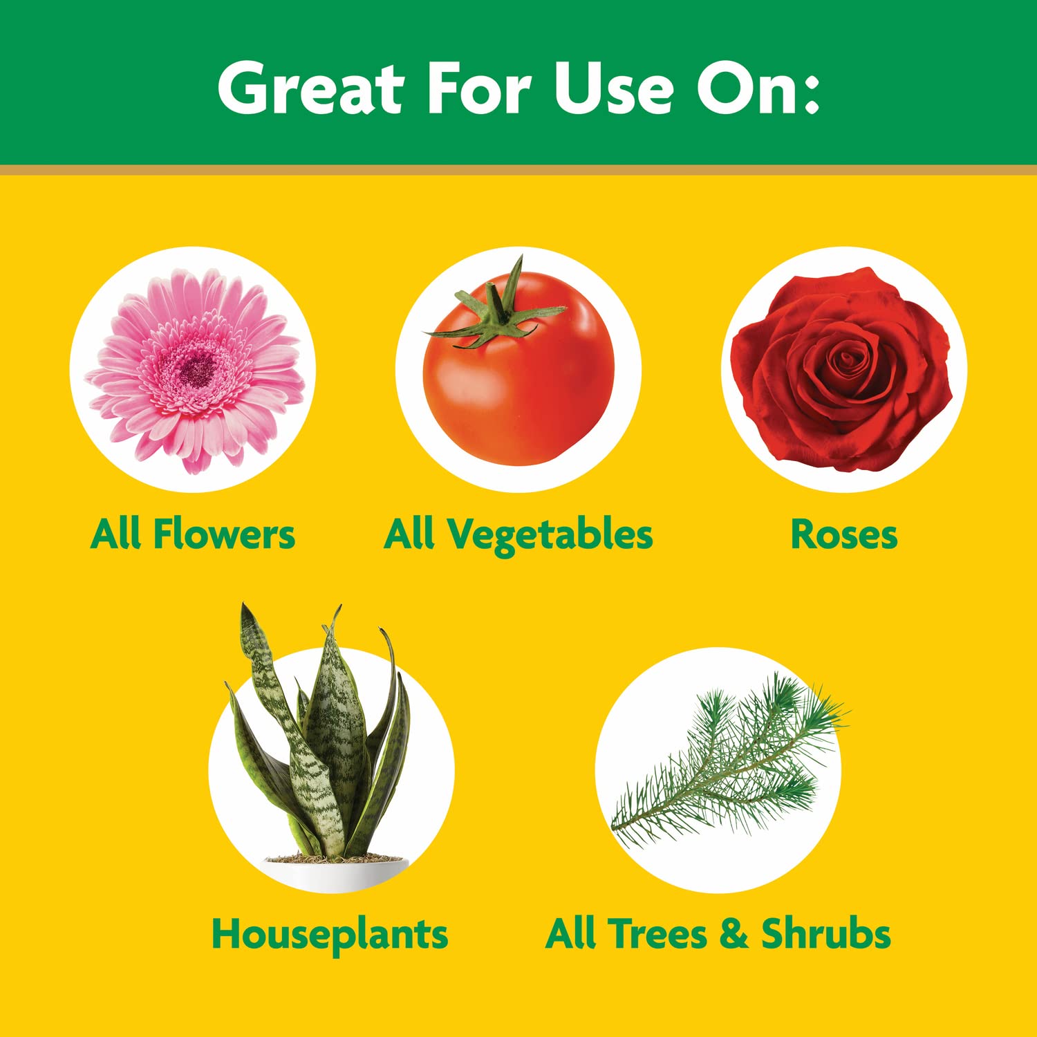 Miracle-Gro aplicación en maceta para nutrir raíces eficazmente