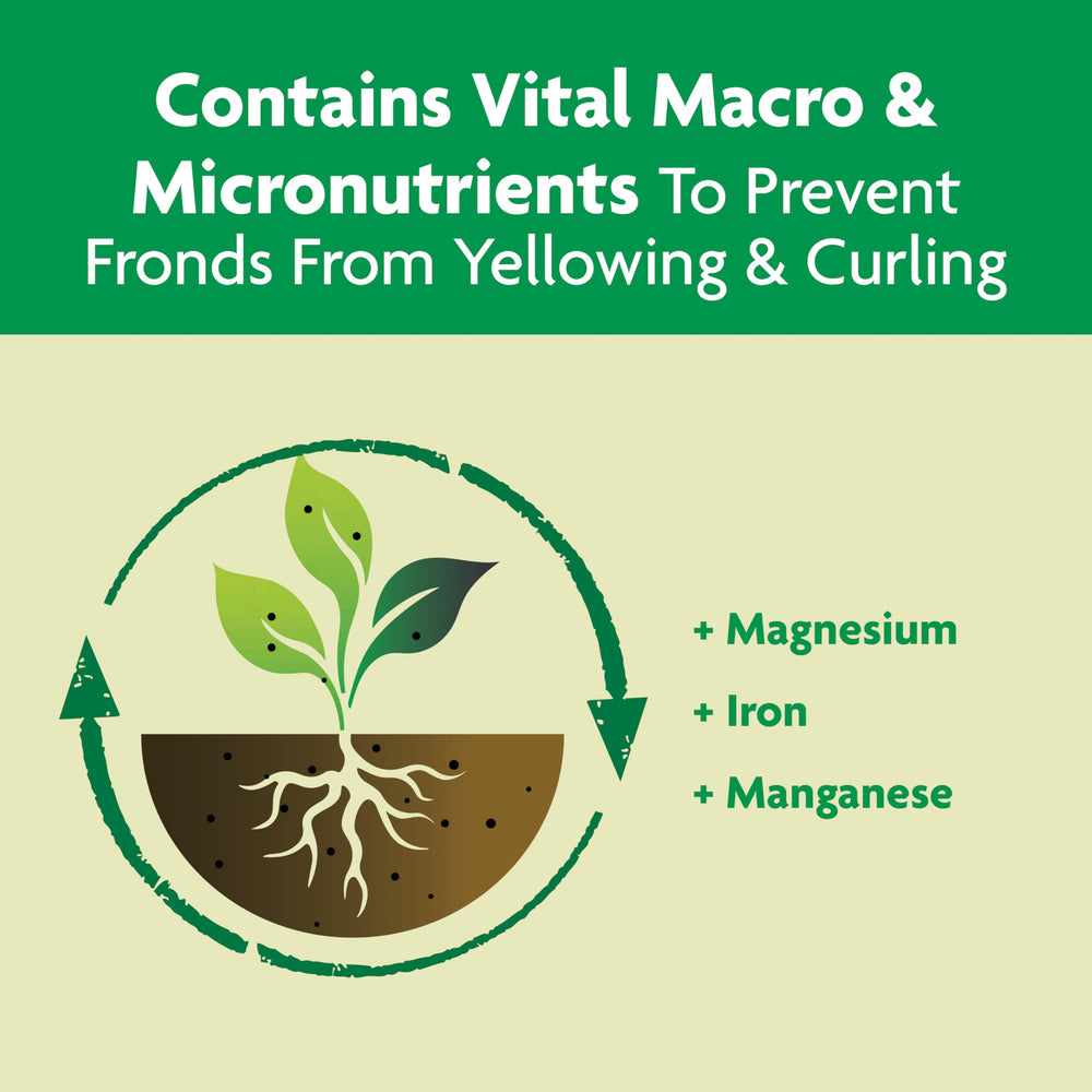 Miracle-Gro aplicando en maceta para mejorar salud radicular y retención de agua