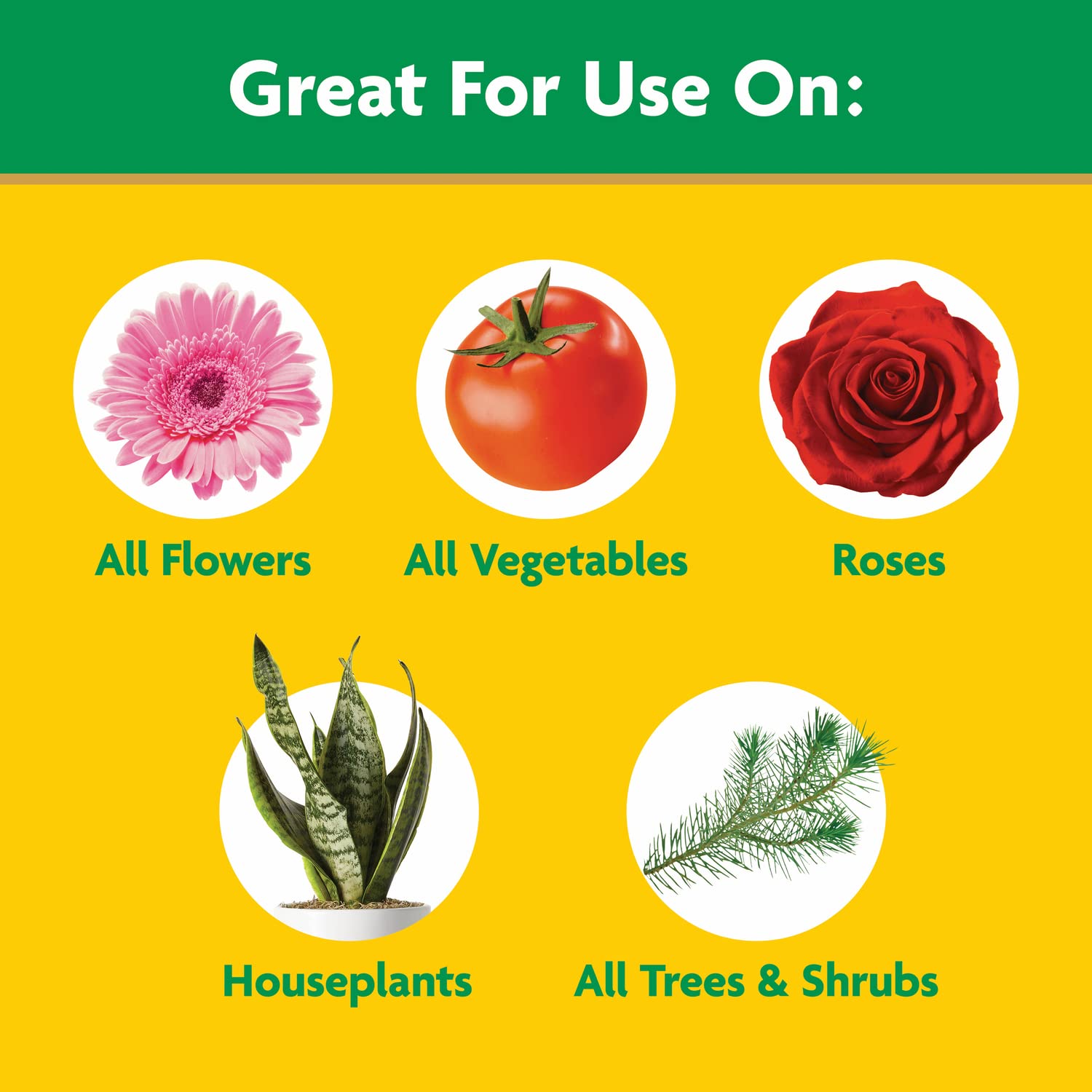 Miracle-Gro applied to containers nourishing roots effectively
