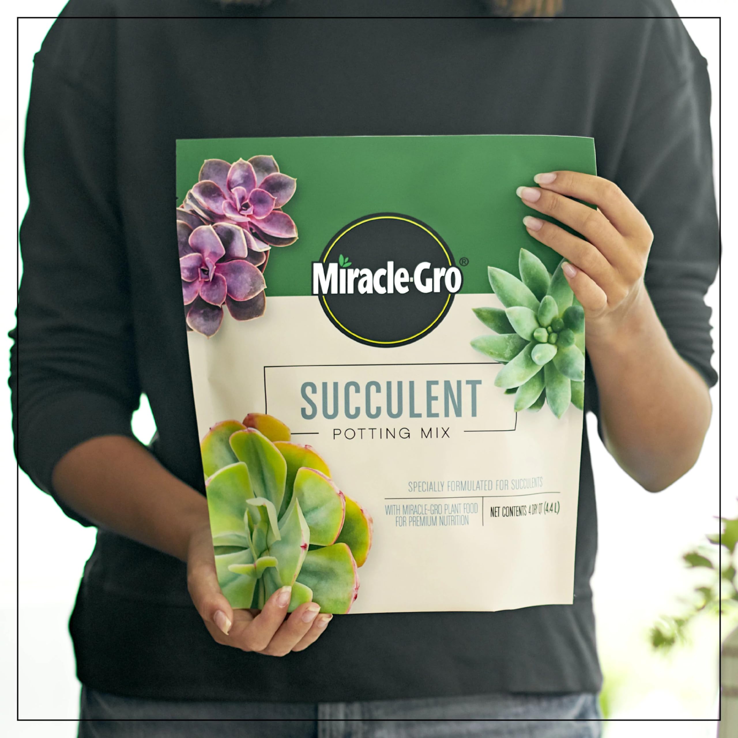 Miracle-Gro en maceta de 8 pulgadas lista para trasplante