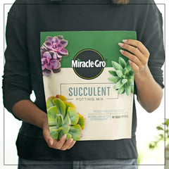 Miracle-Gro en maceta de 8 pulgadas lista para trasplante