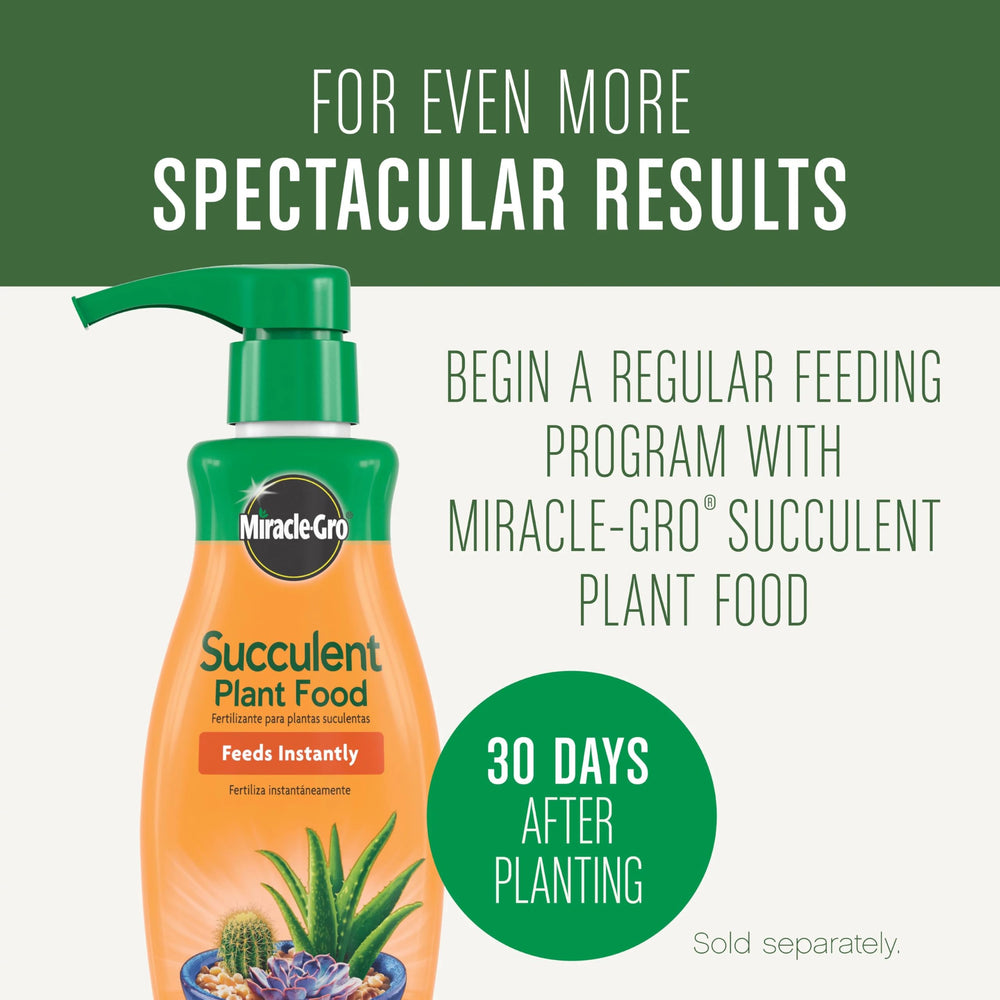 Miracle-Gro en ambiente interior decorativo favorece plantas saludables