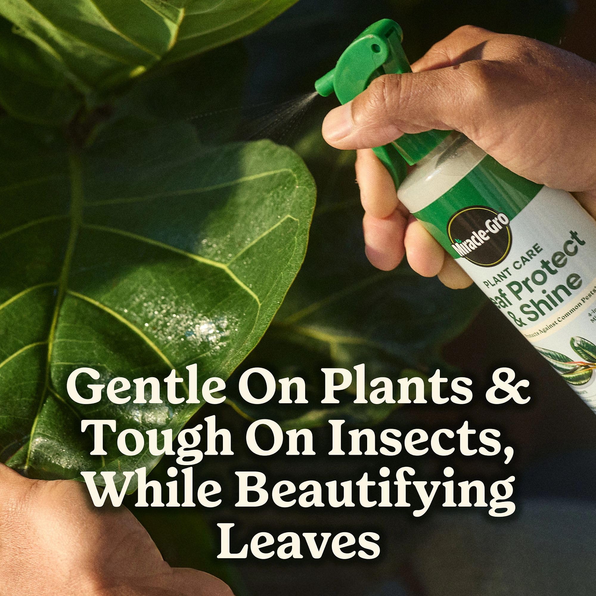 Miracle-Gro escala en manos para visualizar las 8 fl oz prácticas