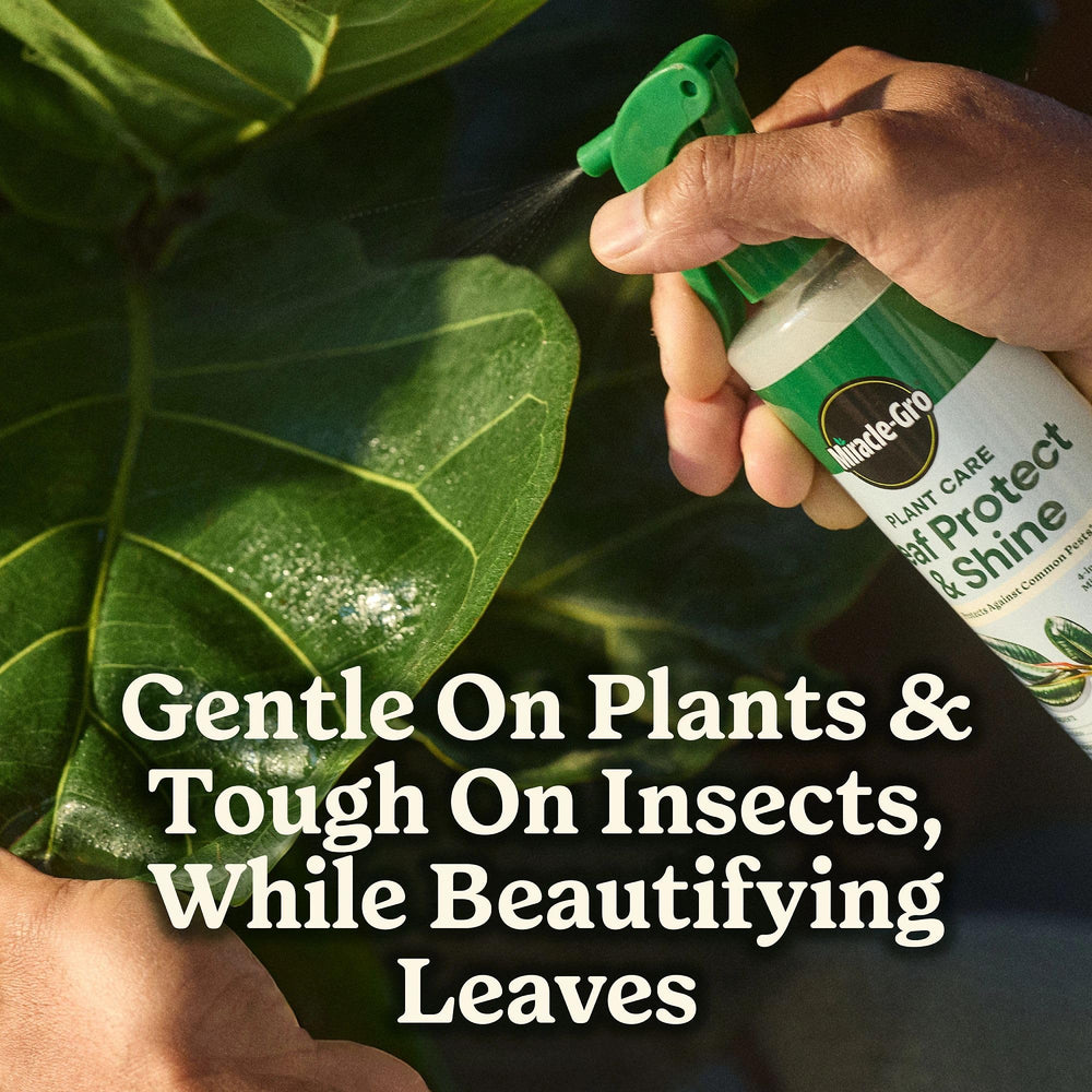 Miracle-Gro escala en manos para visualizar las 8 fl oz prácticas