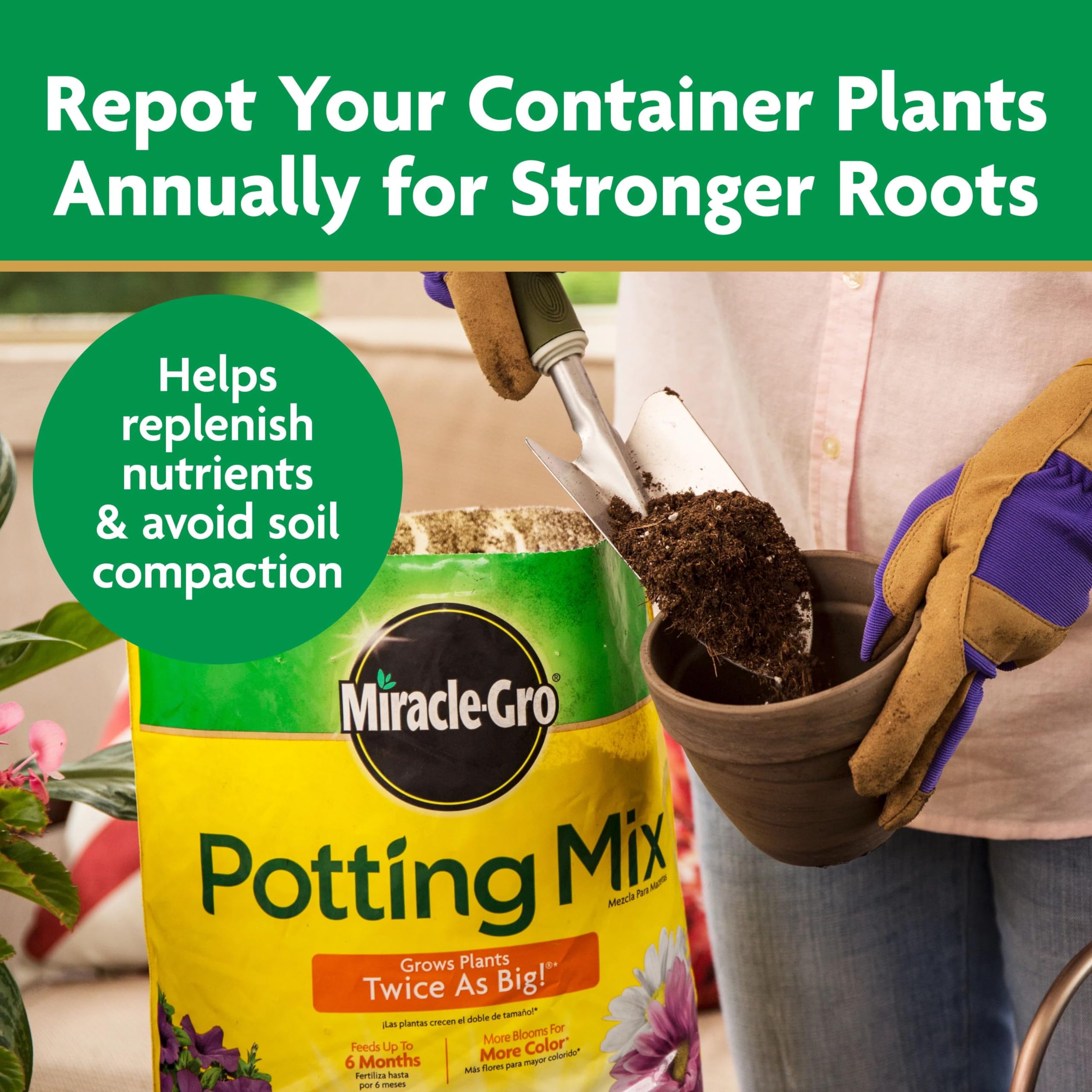 Miracle-Gro macetas en terraza con plantas saludables mostrando potencial estético