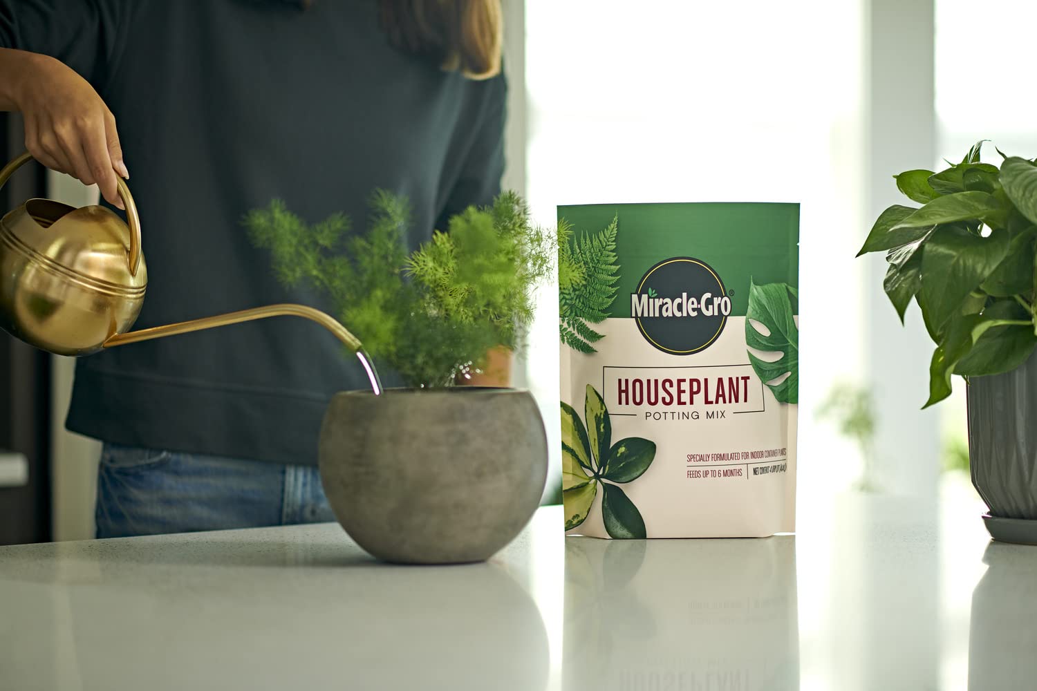 Miracle-Gro lifestyle shelf display with multiple houseplants using the mix