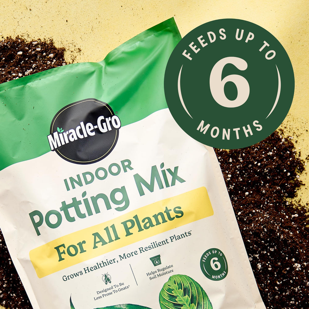 Miracle-Gro vertiendo mezcla en maceta para repotear sin mezclar
