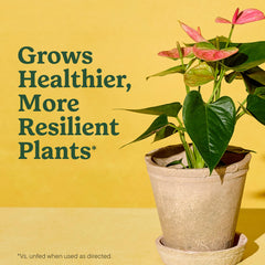 Miracle-Gro maceta con planta trasplantada mostrando crecimiento saludable
