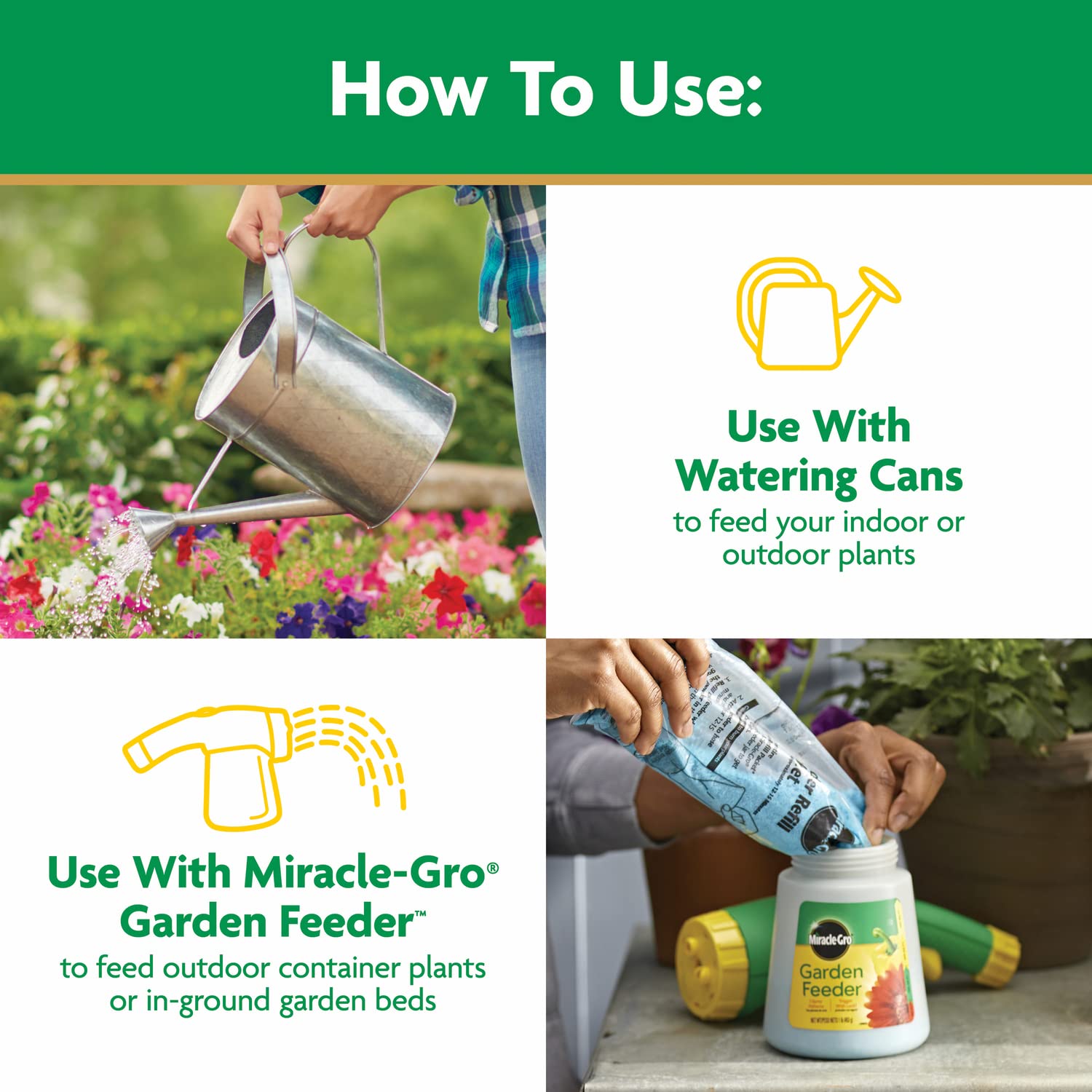 Miracle-Gro used at base of rose bush to support blooms