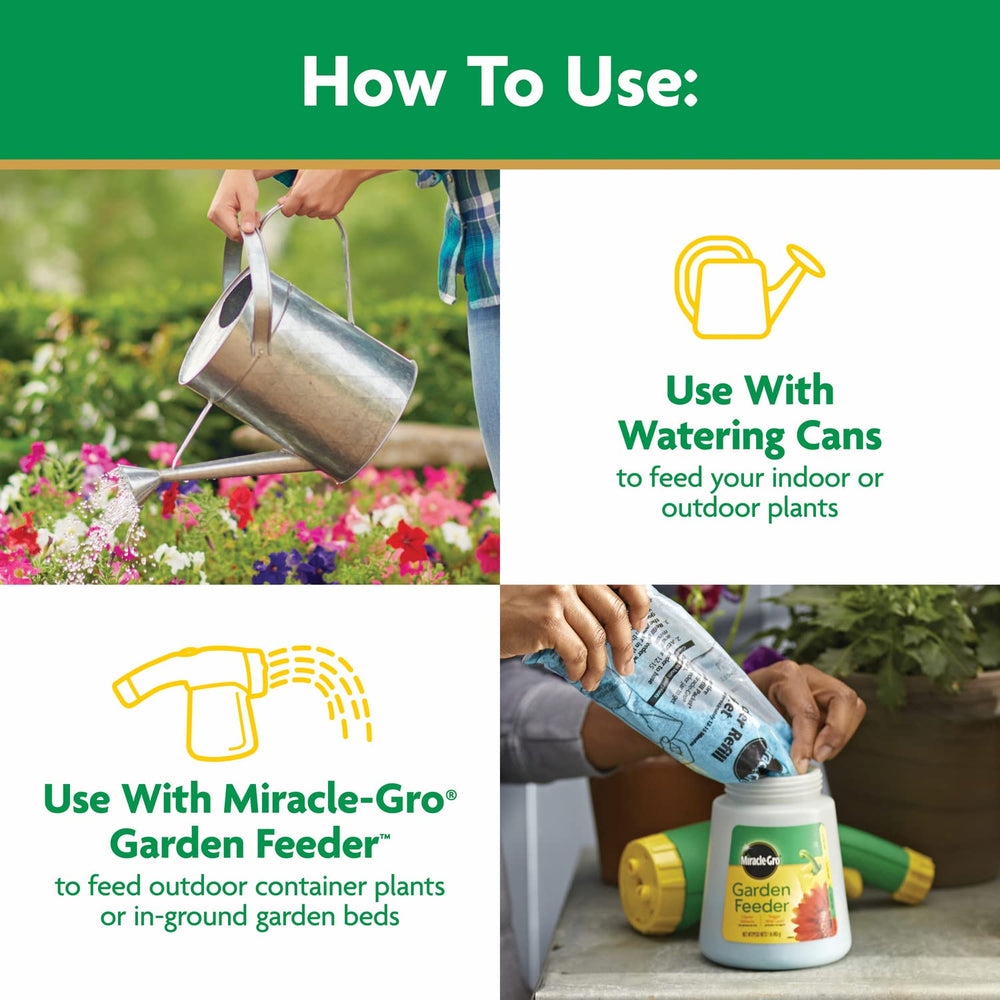 Miracle-Gro used at base of rose bush to support blooms