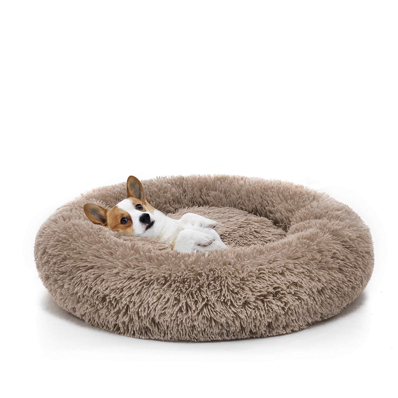 MIXJOY cama frontal 23'' mostrando forma redonda y confort