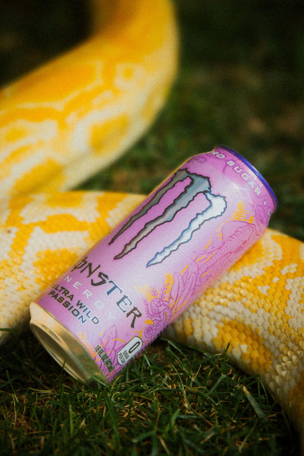 Monster Ultra Wild Passion paquete de 15 latas ideal para almacenamiento