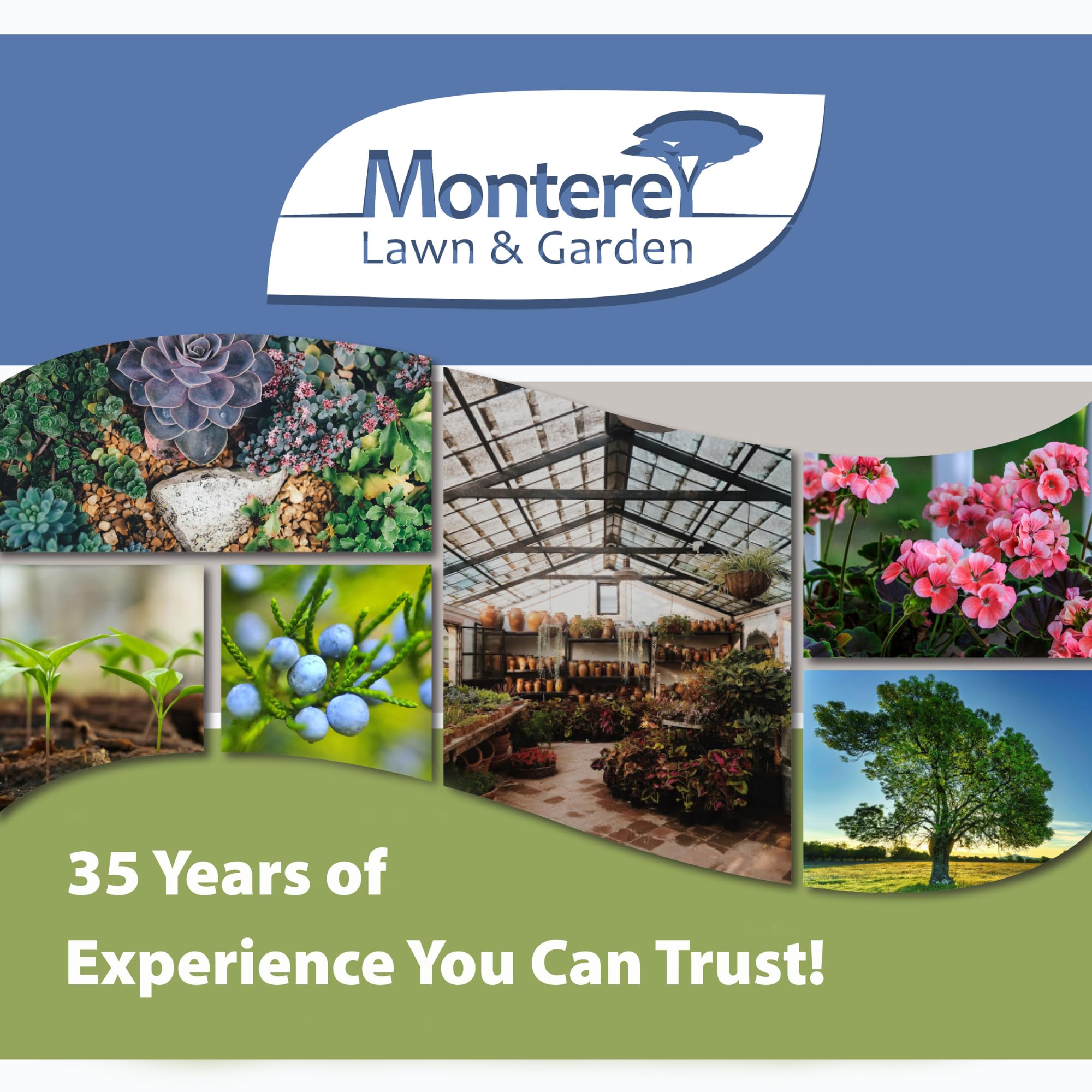 Monterey producto en entorno de jardín mostrando integración natural