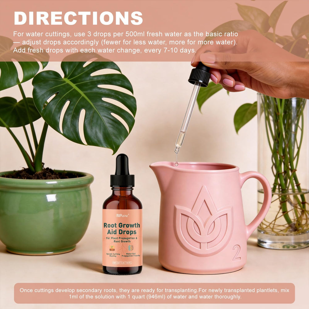 Montorchid gotas en agua con esqueje de Pothos, enraizamiento rápido