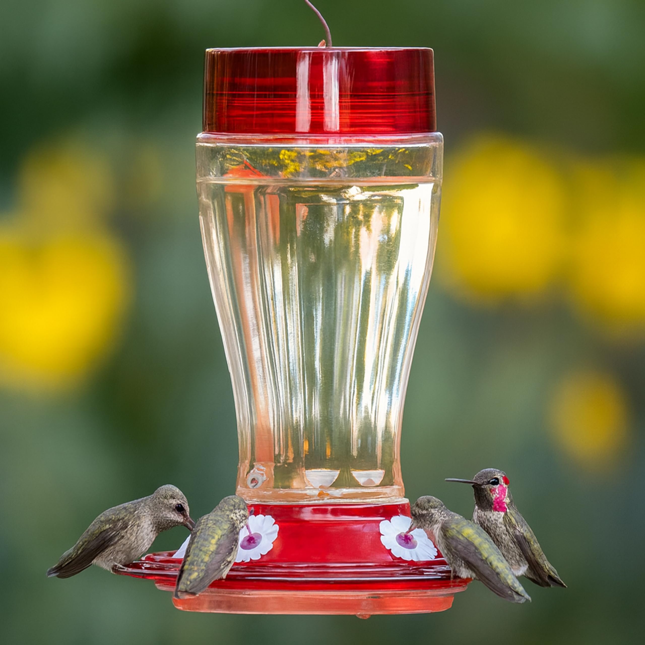 More Birds feeder filled with nectar demonstrating large 40-ounce capacity and fewer refills benefit