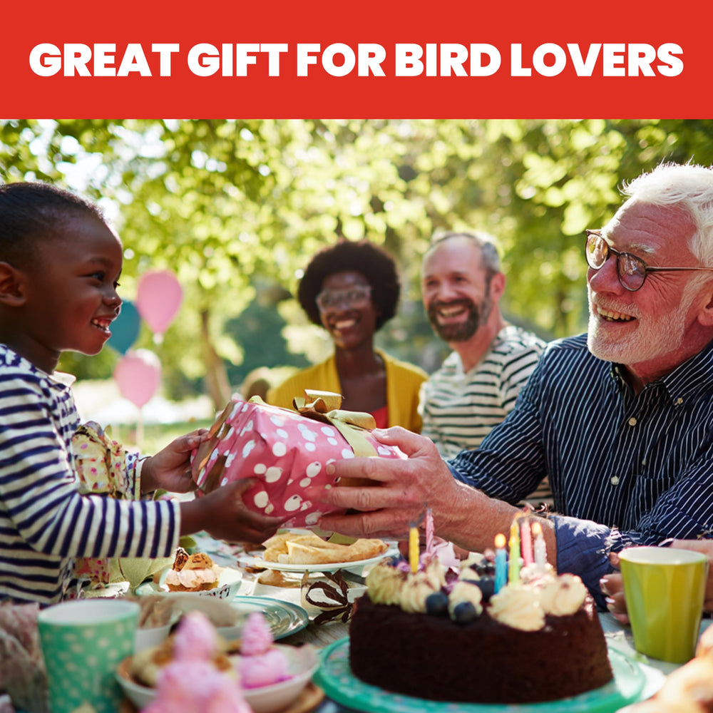 More Birds packaging and label view showing BPA-free recyclable parts information benefit