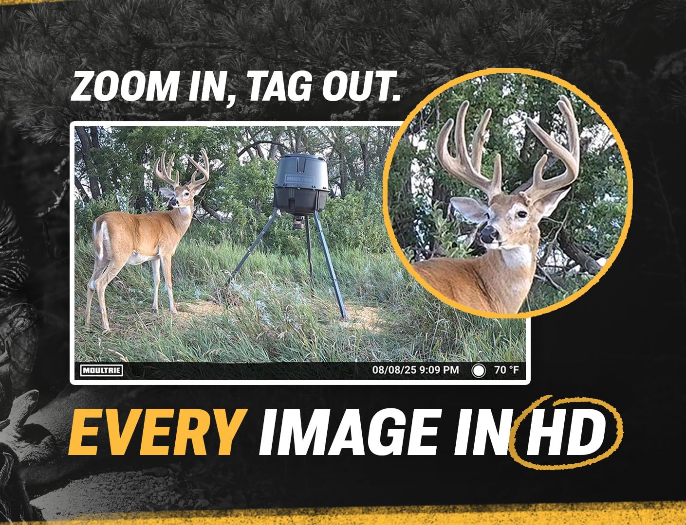 Moultrie EDGE 2 instalado en árbol, vigilancia remota efectiva