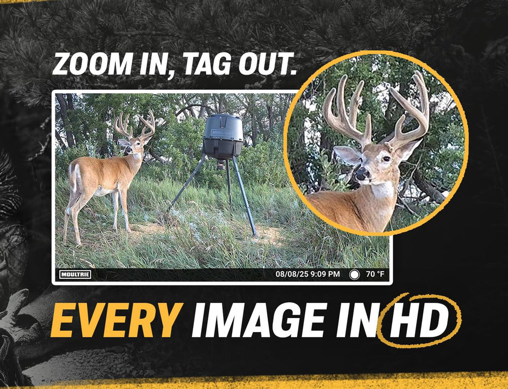 Moultrie EDGE 2 instalado en árbol, vigilancia remota efectiva