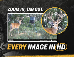 Moultrie EDGE 2 instalado en árbol, vigilancia remota efectiva