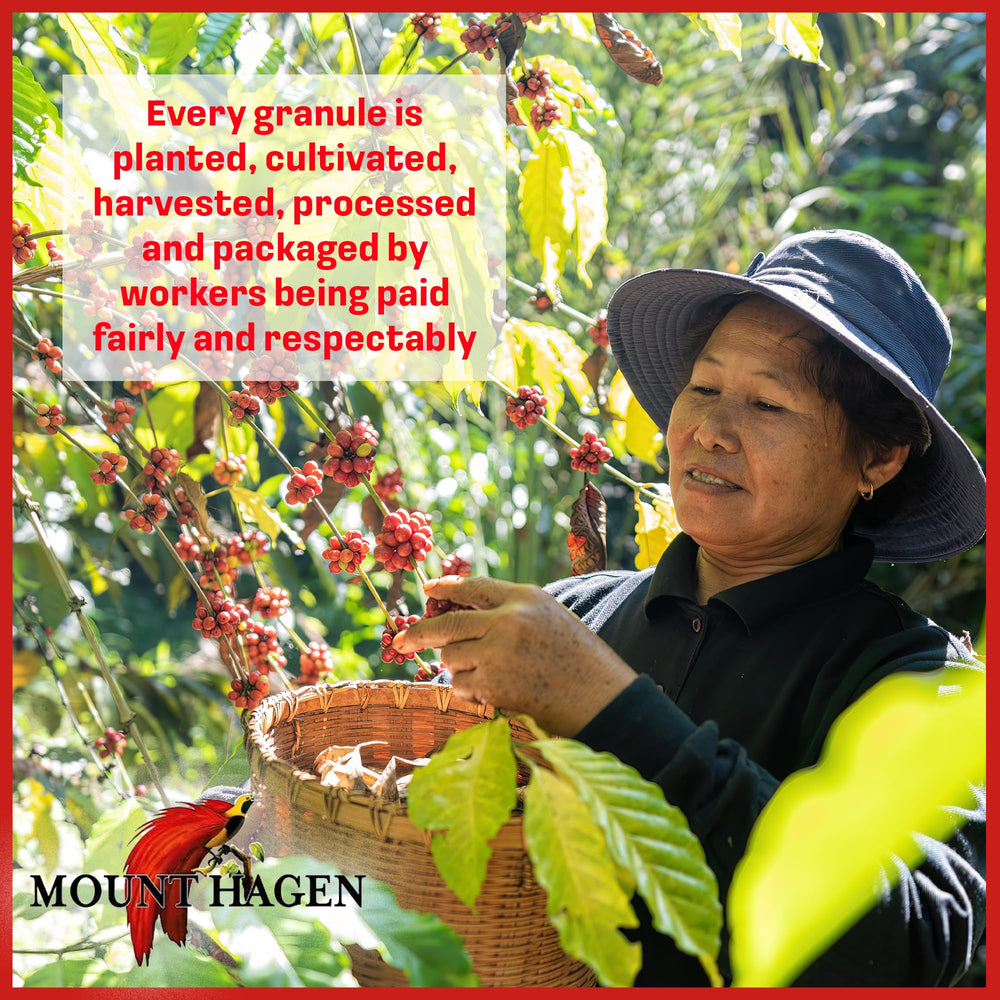 Mount Hagen frasco en cocina moderna mostrando uso cotidiano sostenible