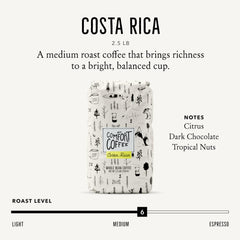 Mt. Comfort Coffee primeros planos de granos enteros con textura rica