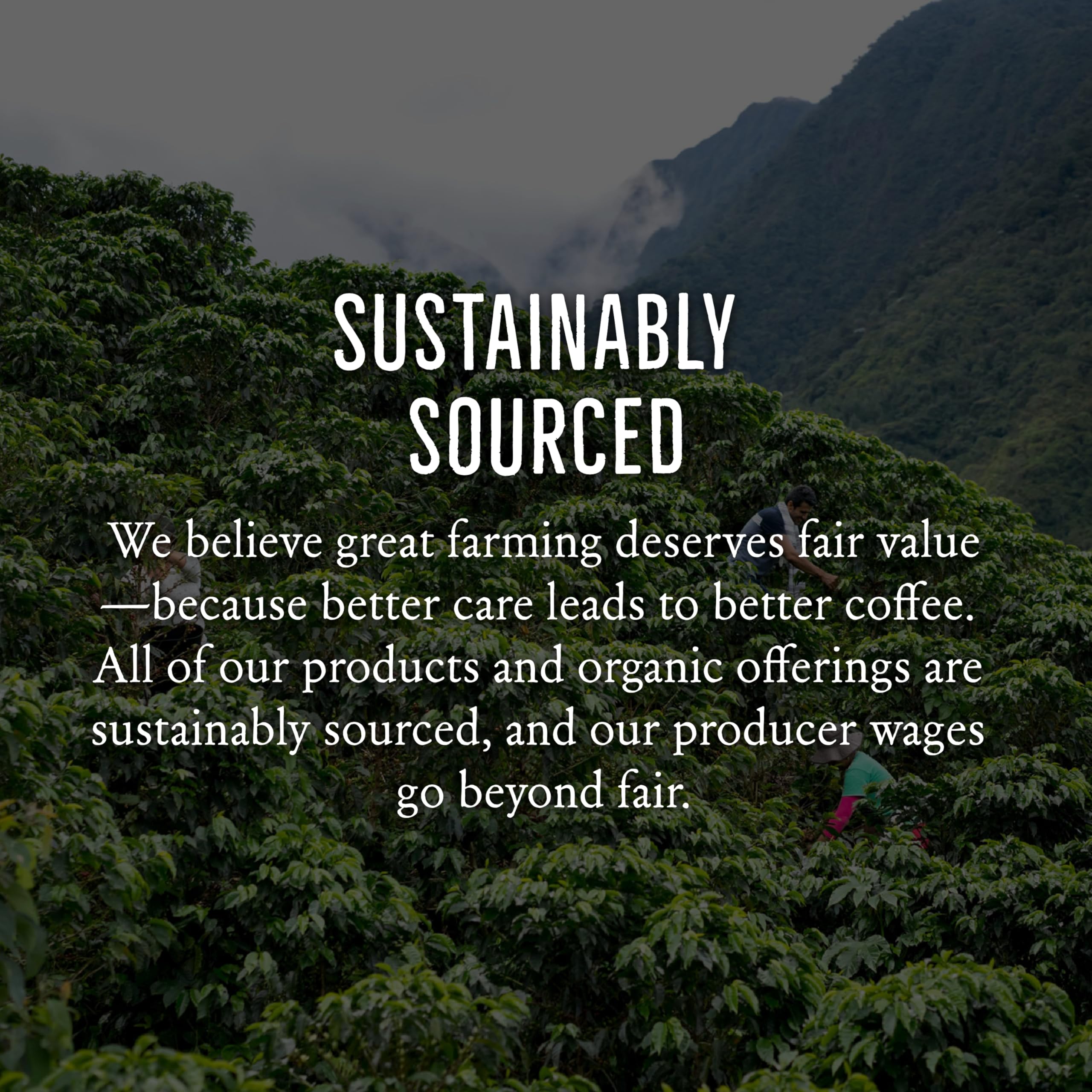 Mt. Comfort Coffee etiqueta de origen Costa Rica mostrando información de finca
