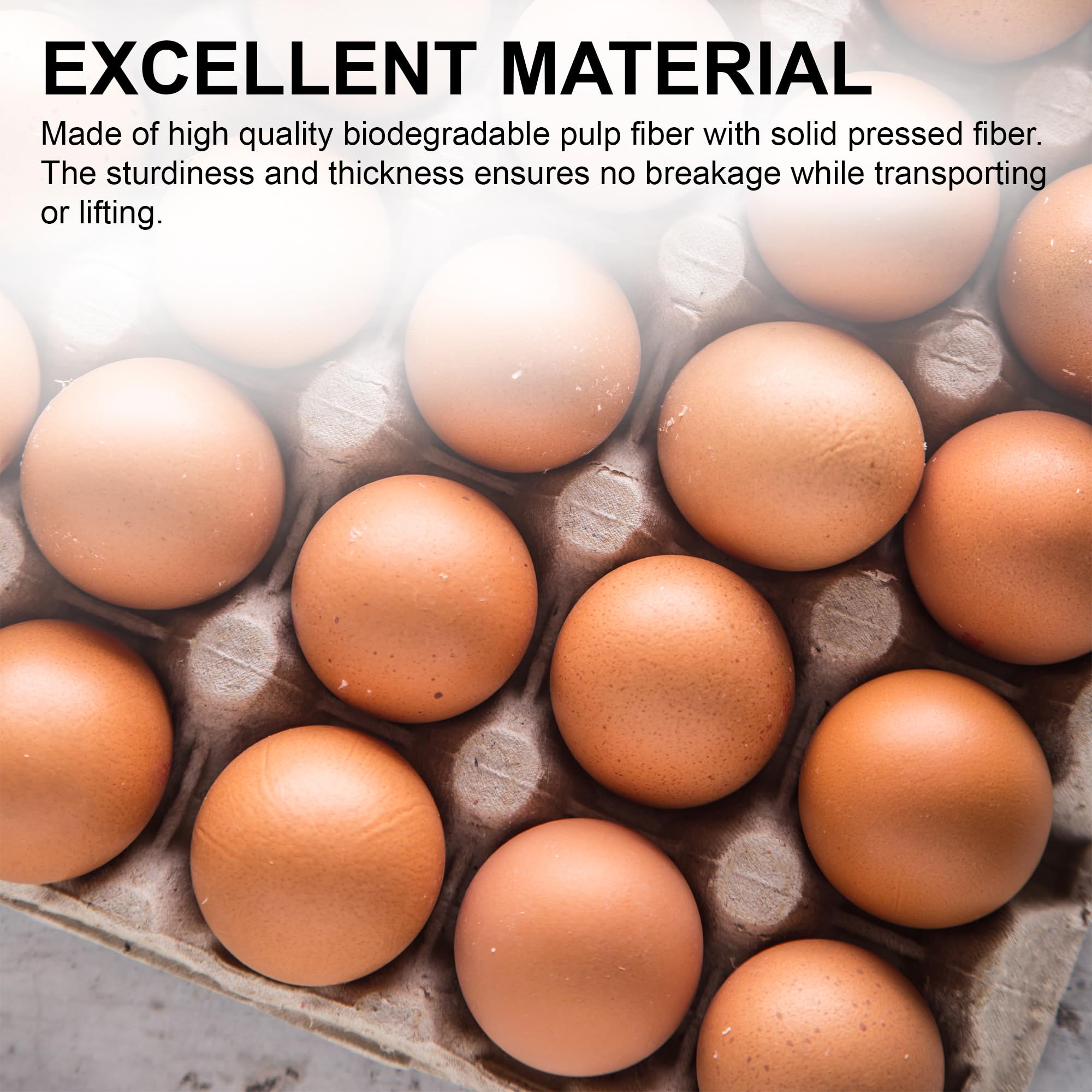MT Products bandeja en uso con huevos, transporte seguro