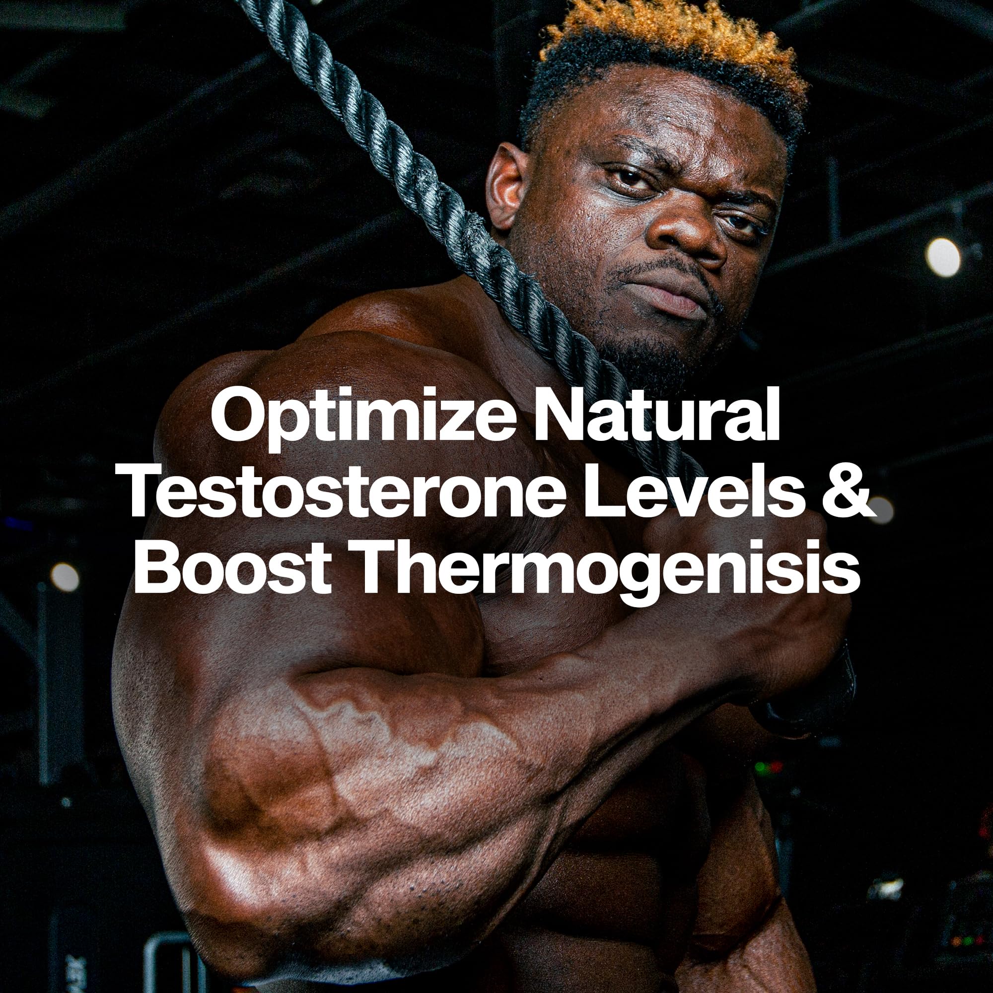 MuscleTech closeup de la cápsula AlphaTest Thermo mostrando textura y absorción