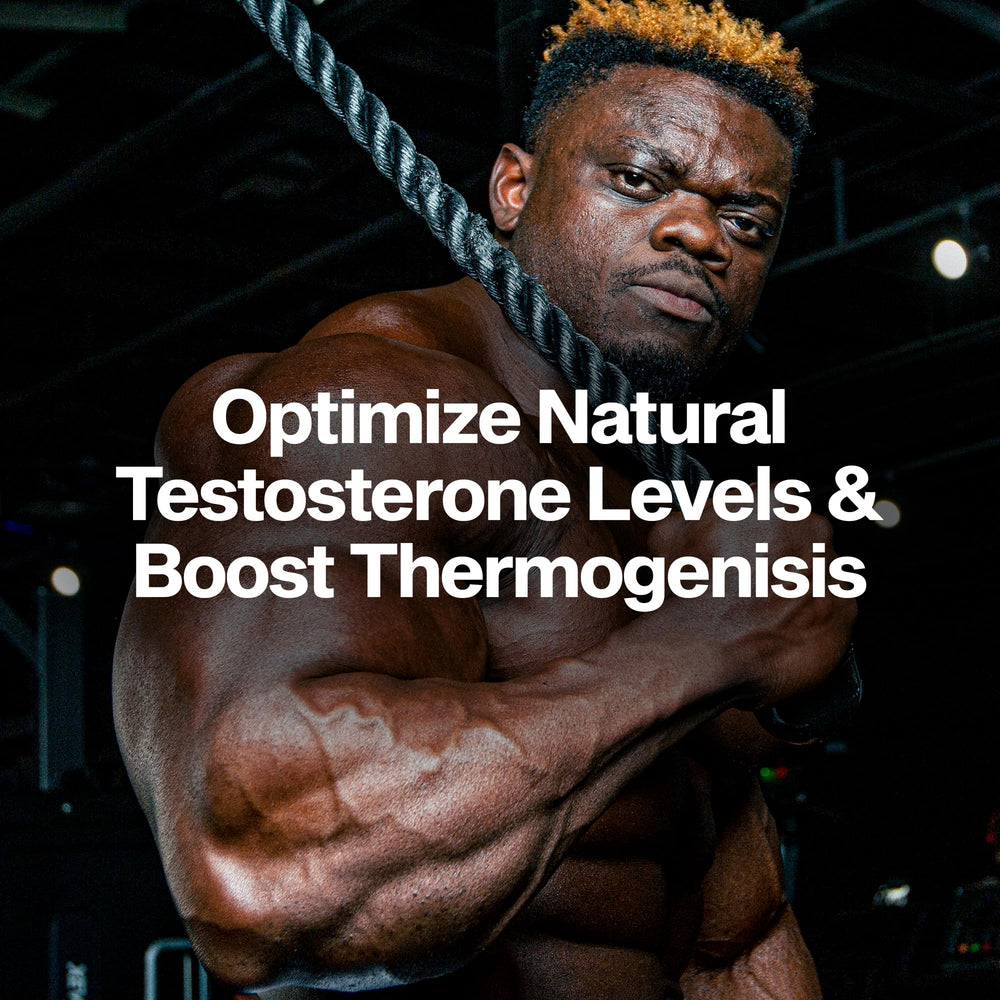 MuscleTech closeup de la cápsula AlphaTest Thermo mostrando textura y absorción